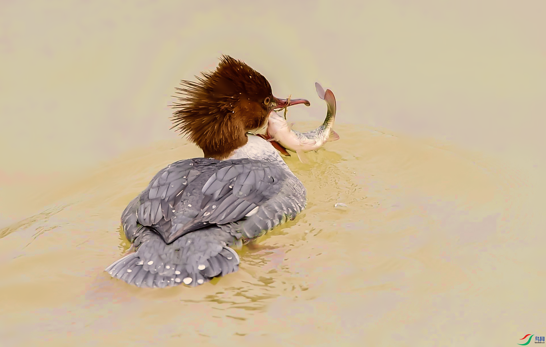 DSC_4362_����.png
