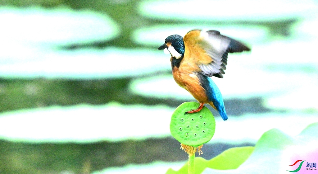 DSC_6361.JPG