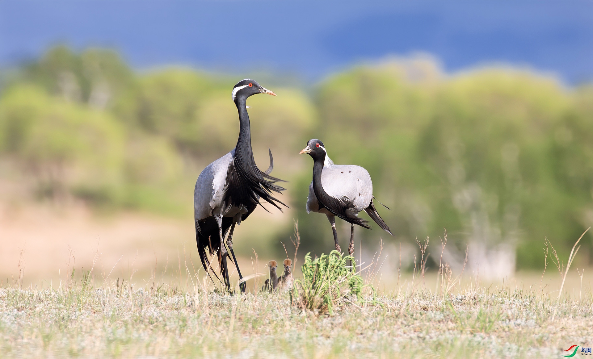 4X7B0182 ����.jpg