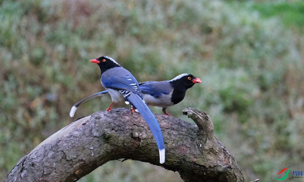 DSCF8371.1.jpg