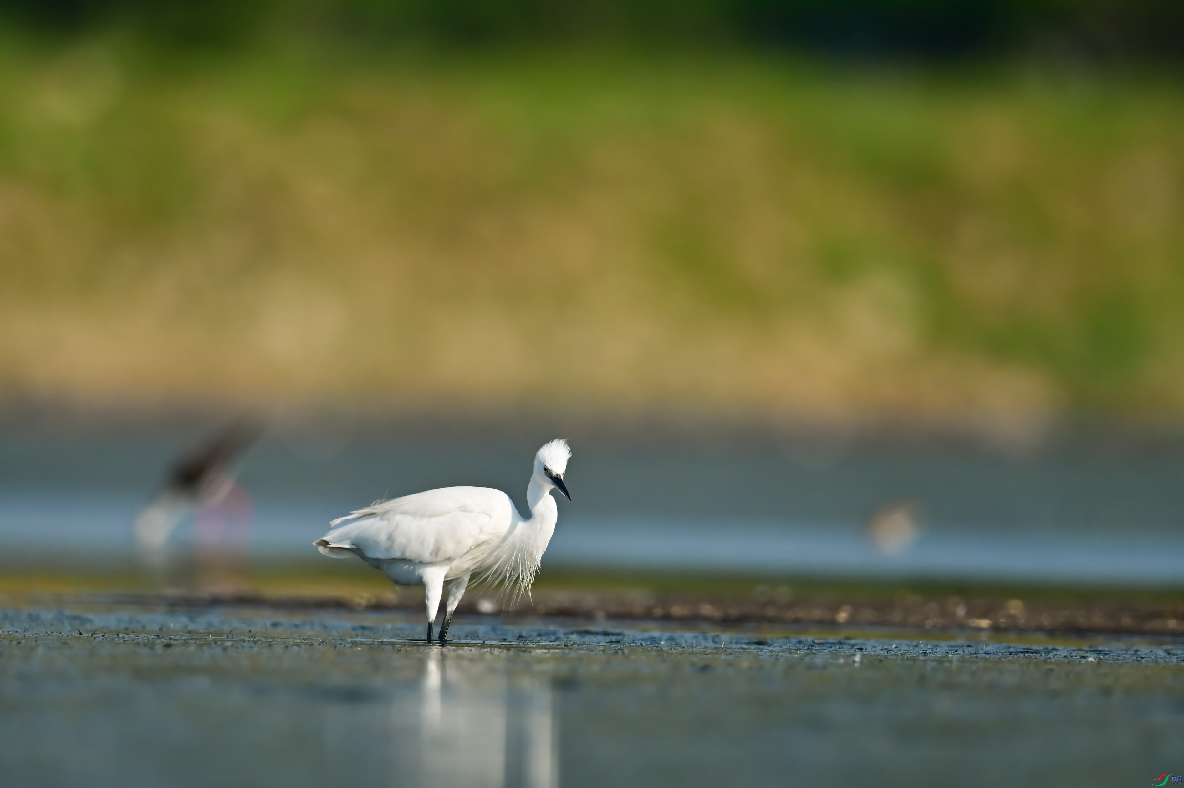DSC_4626.jpg