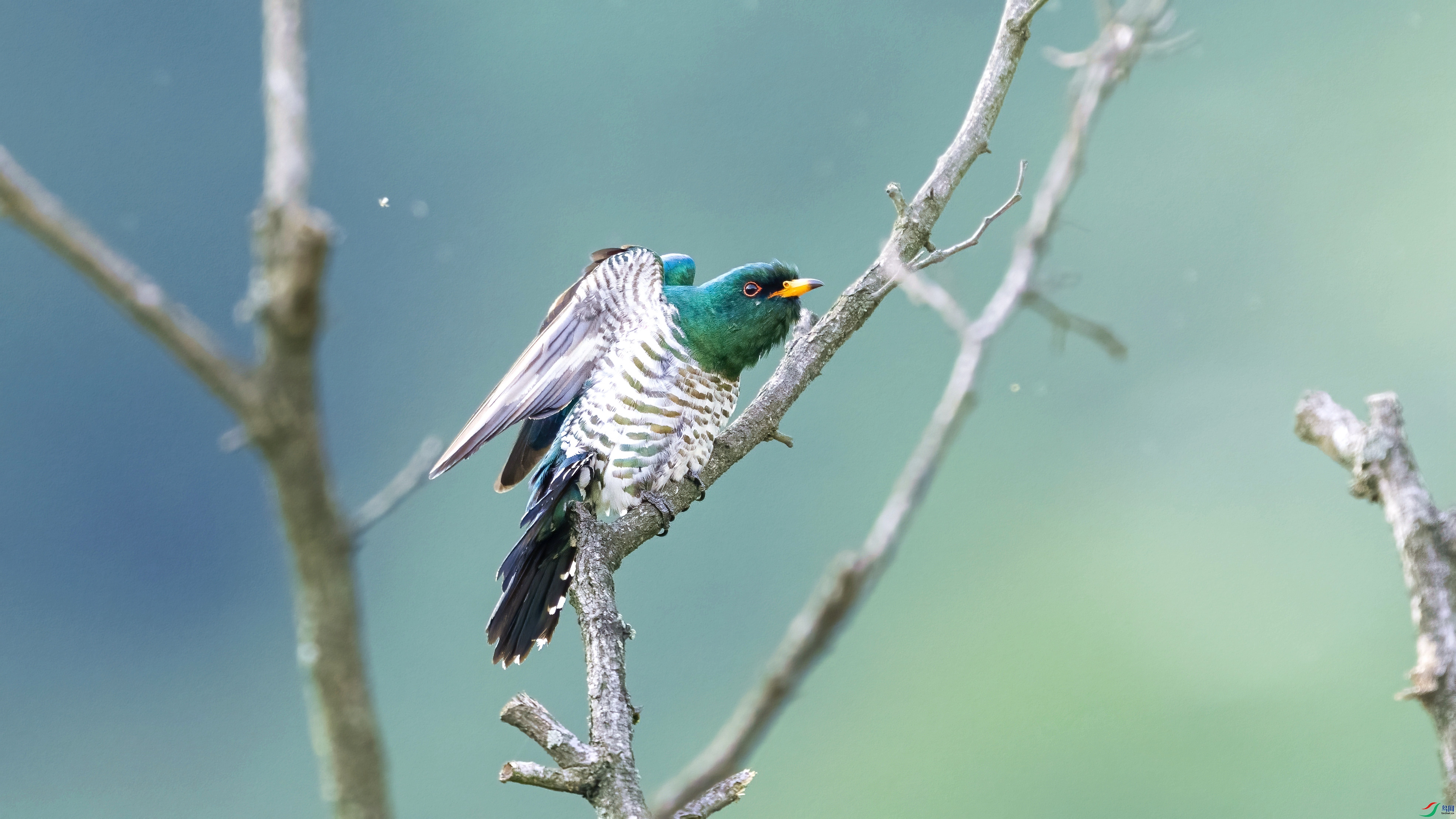 DSC_6321.jpg