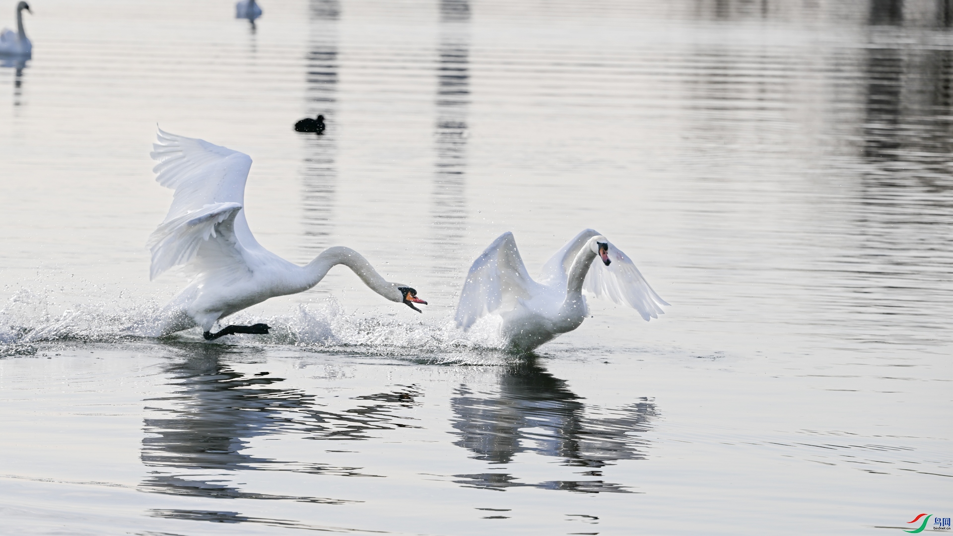 DSC_5575-�༭.jpg