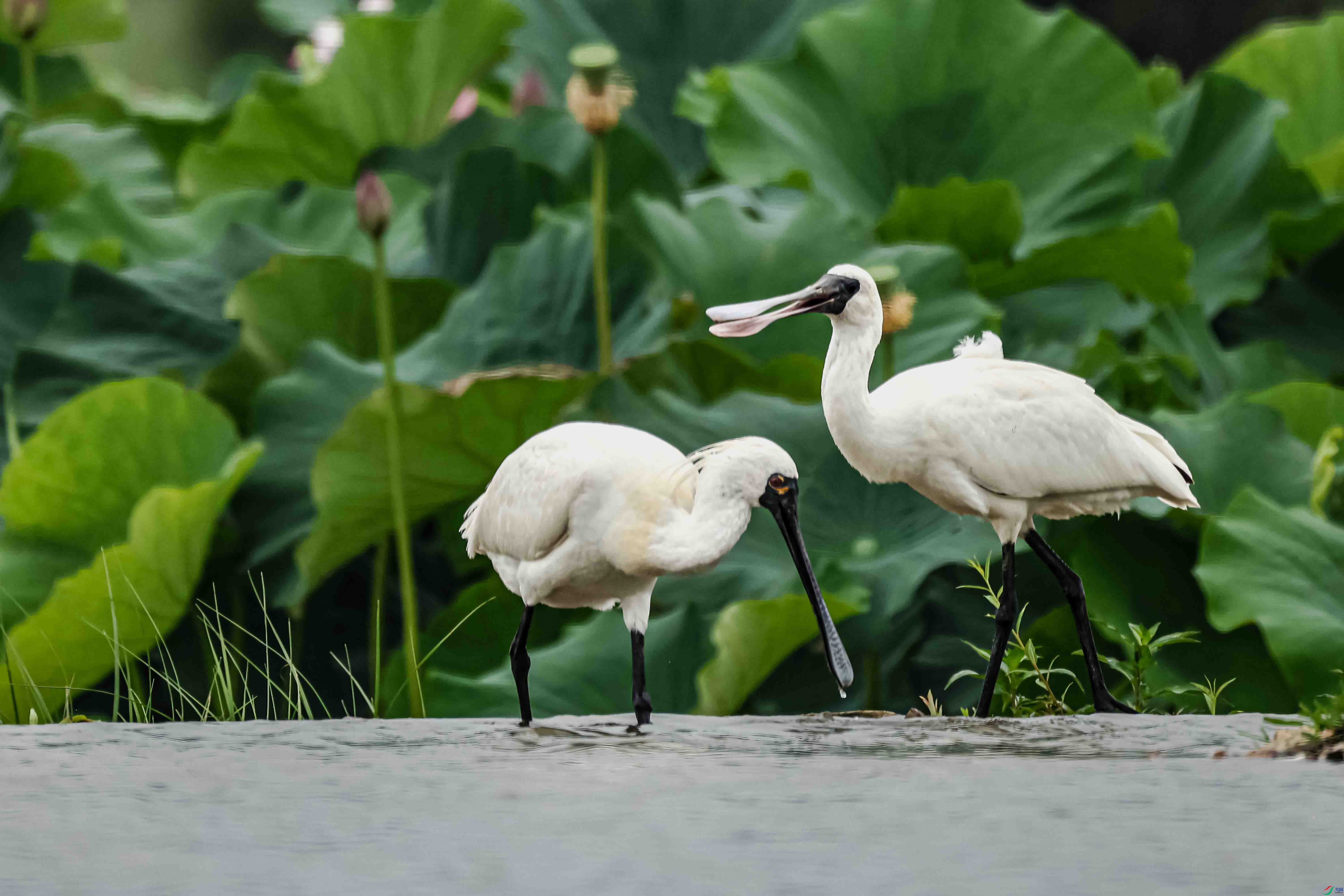 56 0Q3A5656 ����.jpg