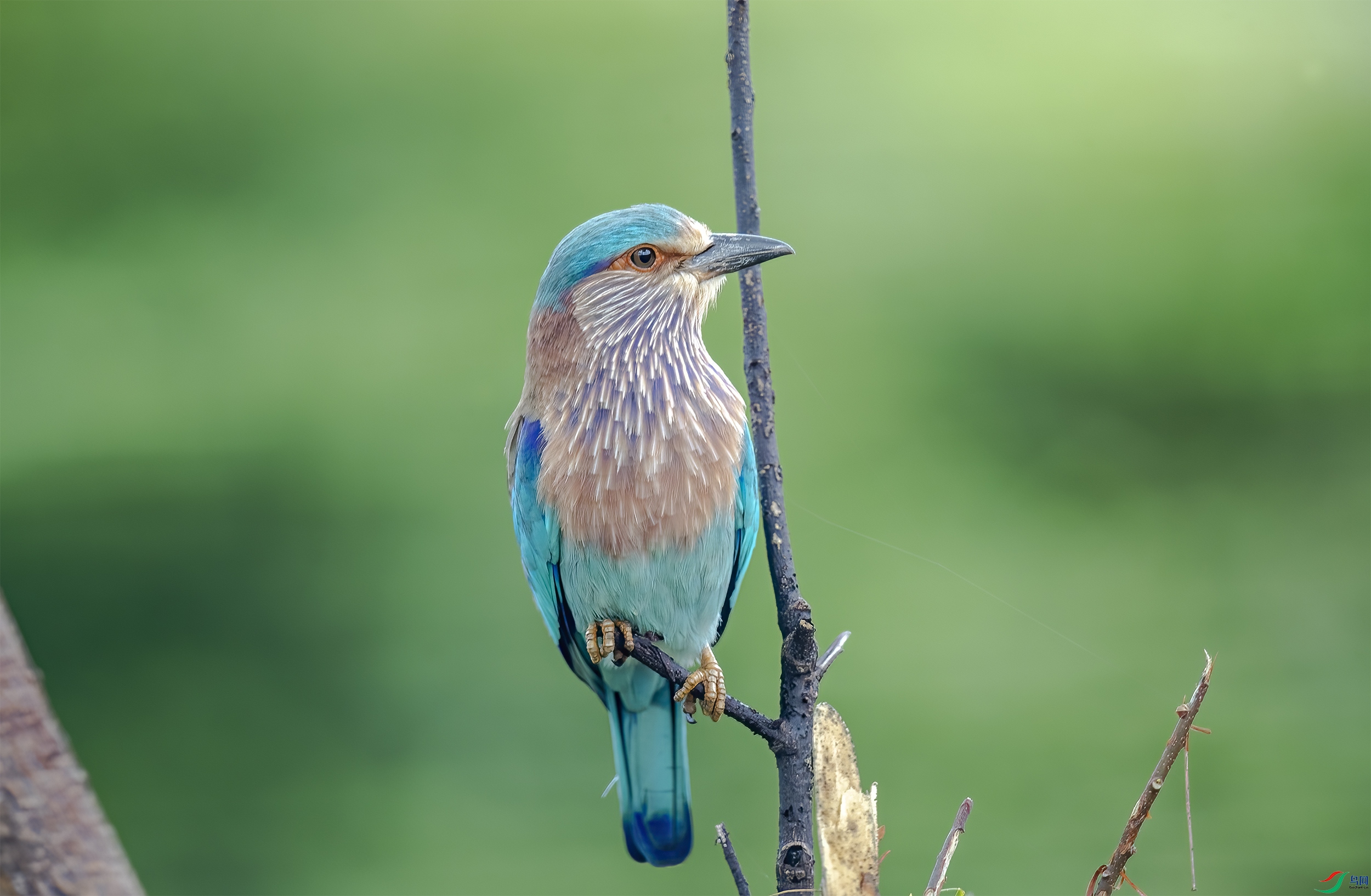 AC3I4477 ����.jpg