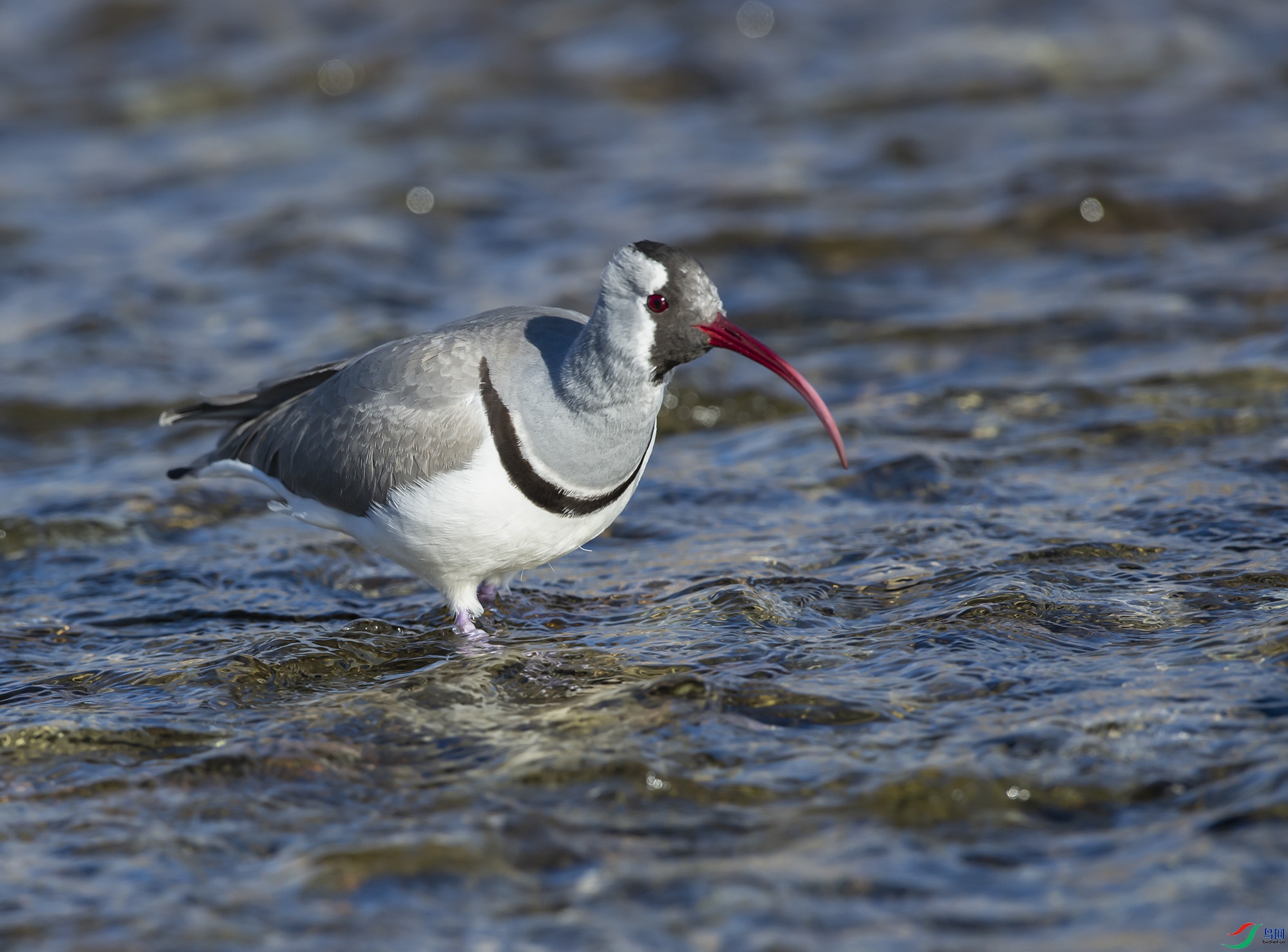 DSC_2624.jpg