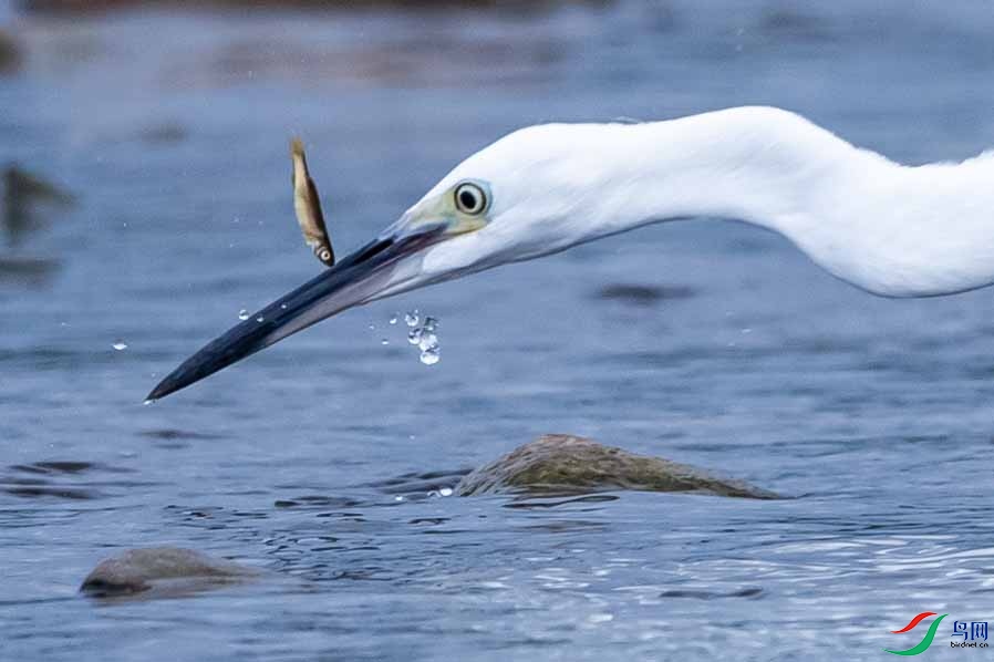 _DSC0558 ����.jpg