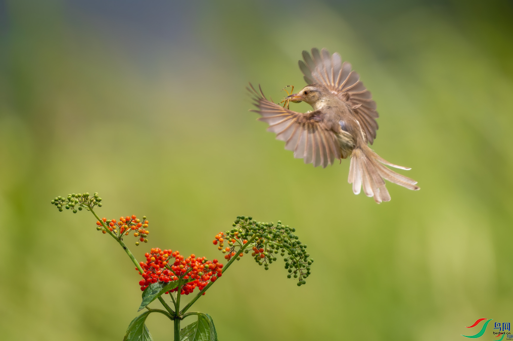 �������ѡ������������ٻ���Ӱʦ��������ɽ���� 9.png