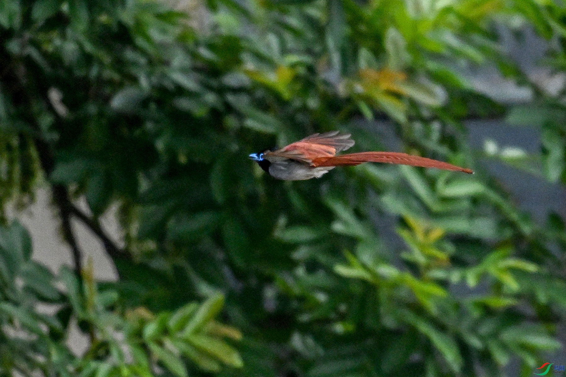 DSC_5159.JPG