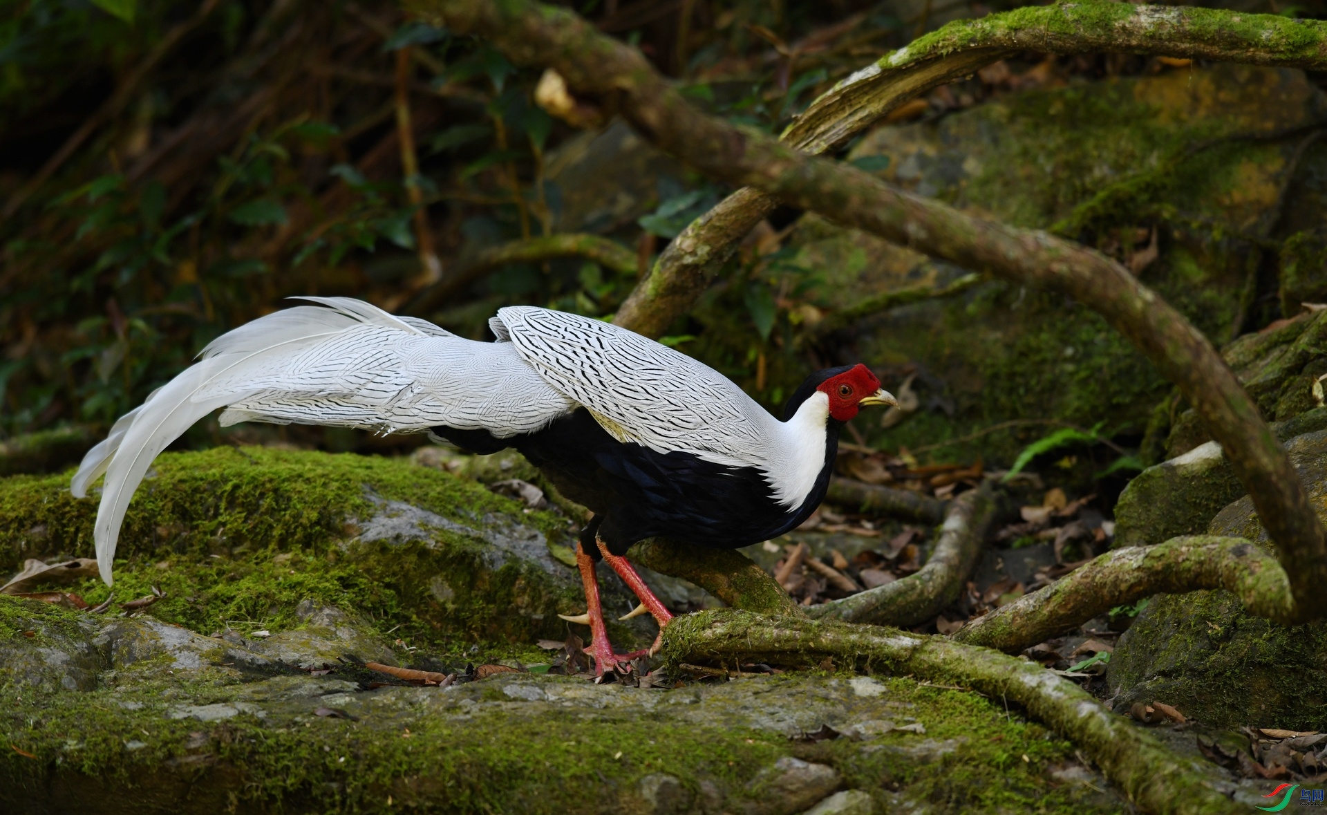 DSC_3310.jpg
