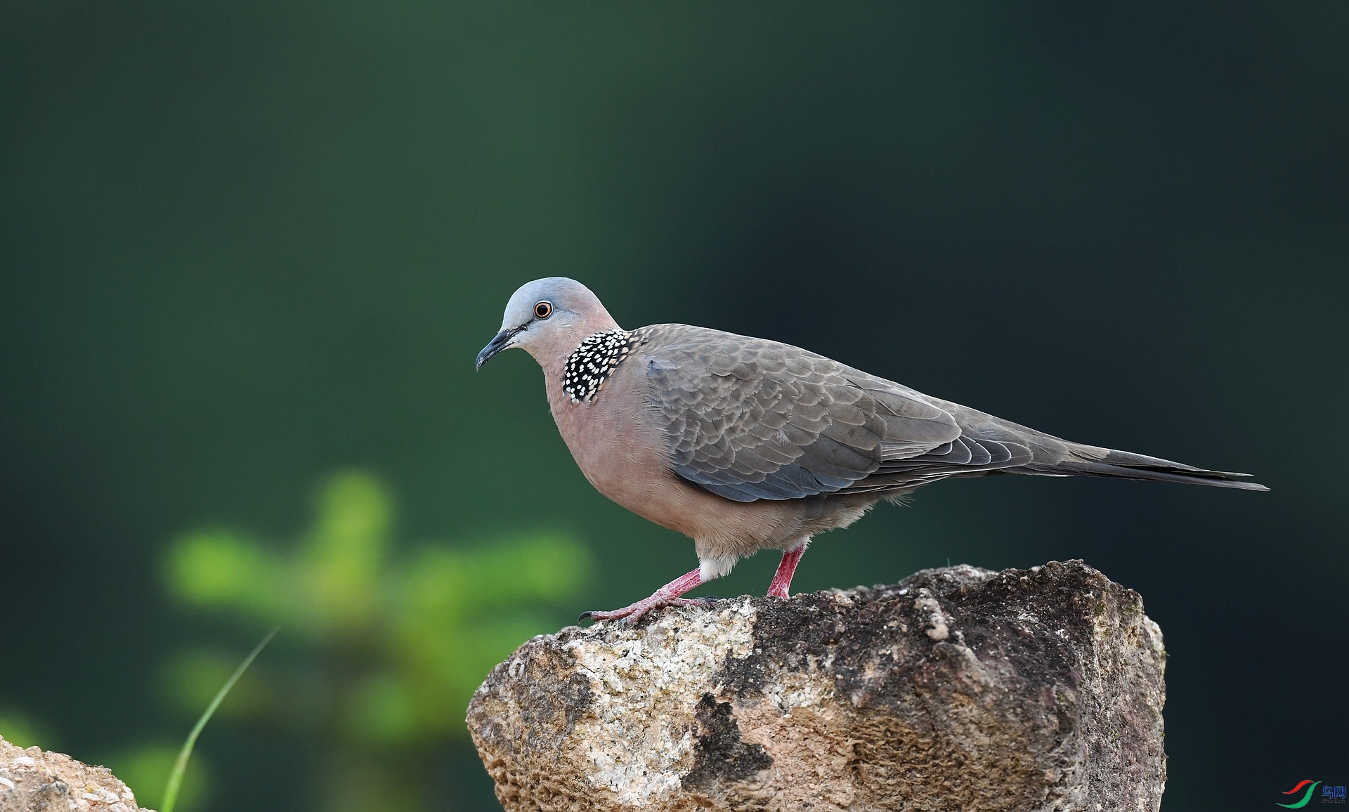 DSC_3573.jpg