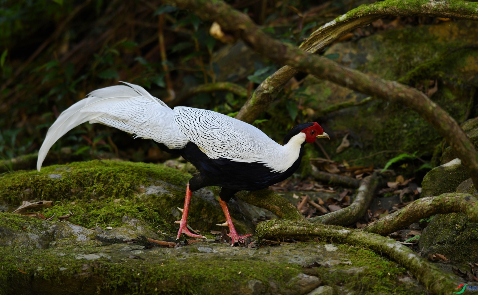 DSC_3309.jpg