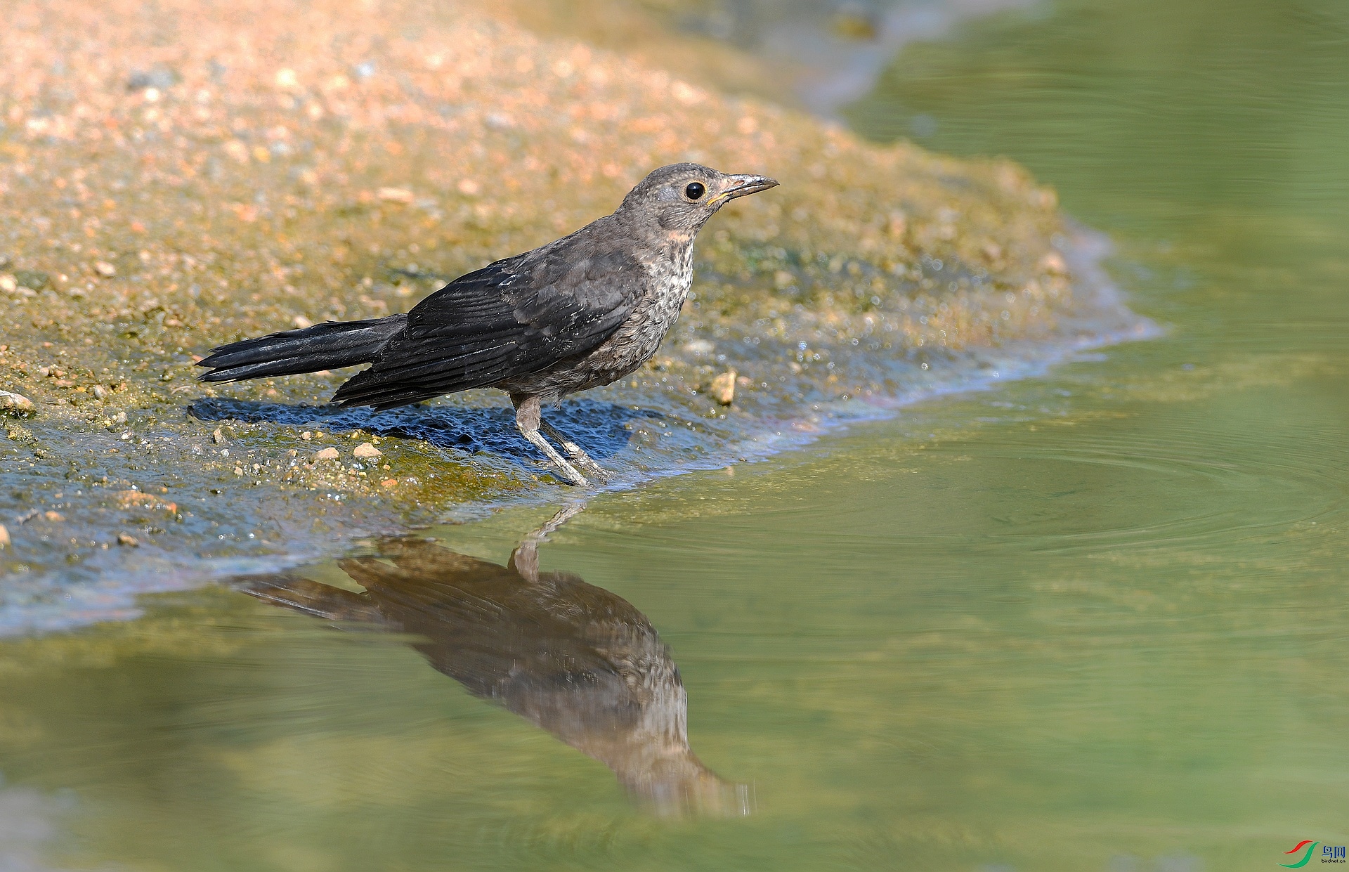 DSC_5023.jpg