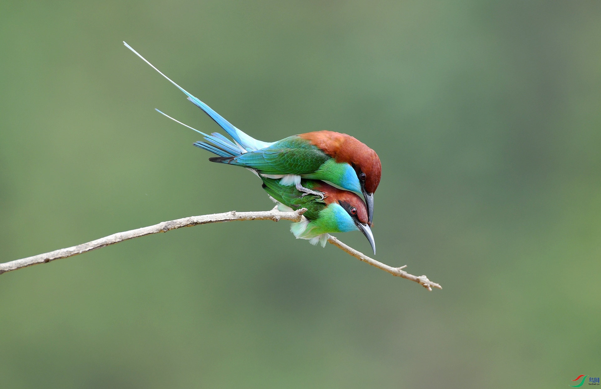 DSC_9978.jpg