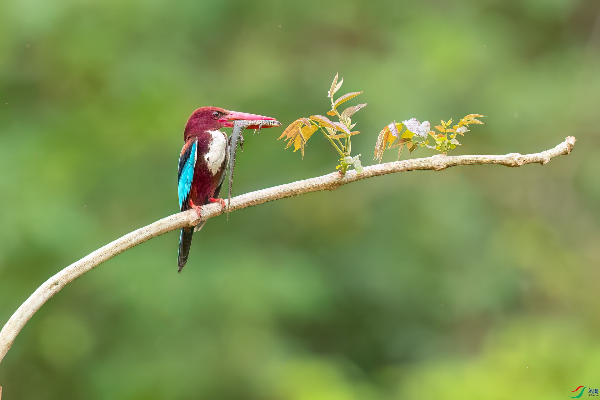 B86I0918 _����.jpg