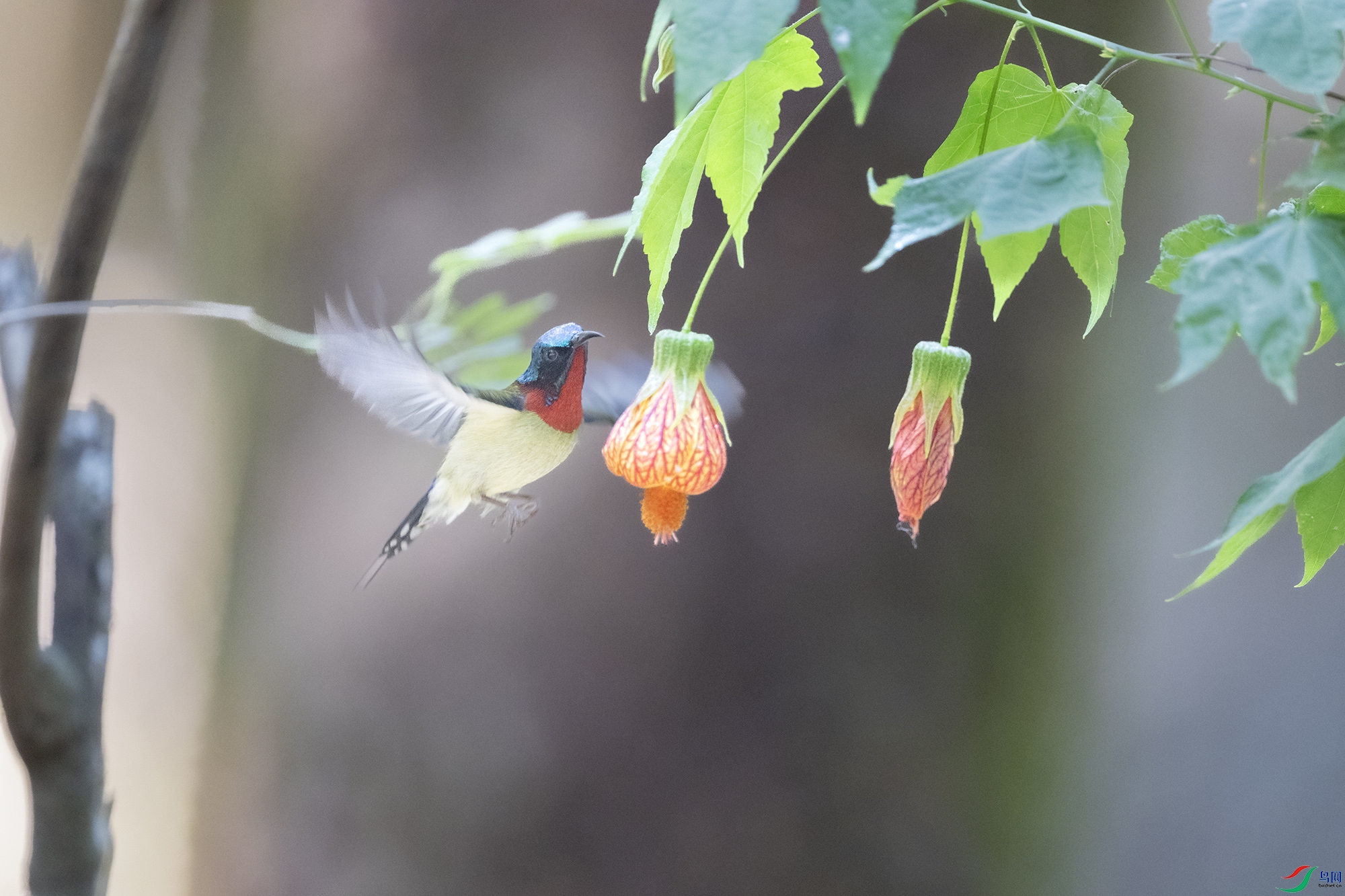 DSC_8694.jpg