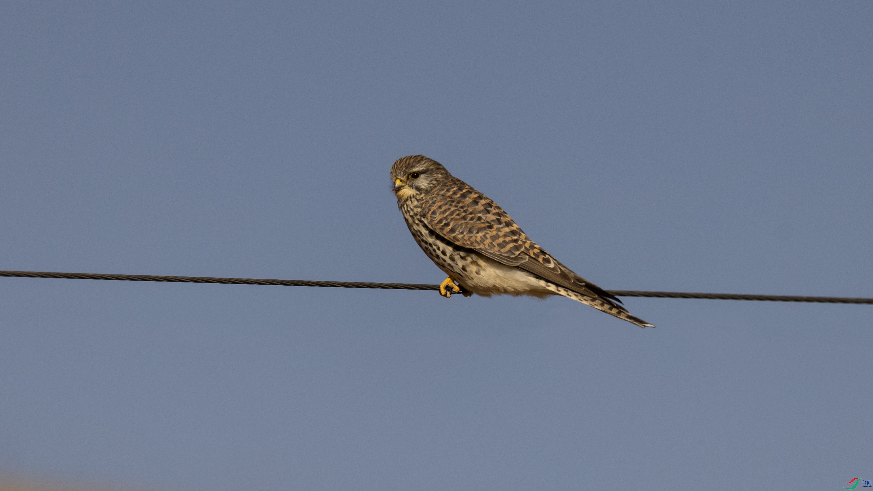 7X5A8444 ����4444.jpg