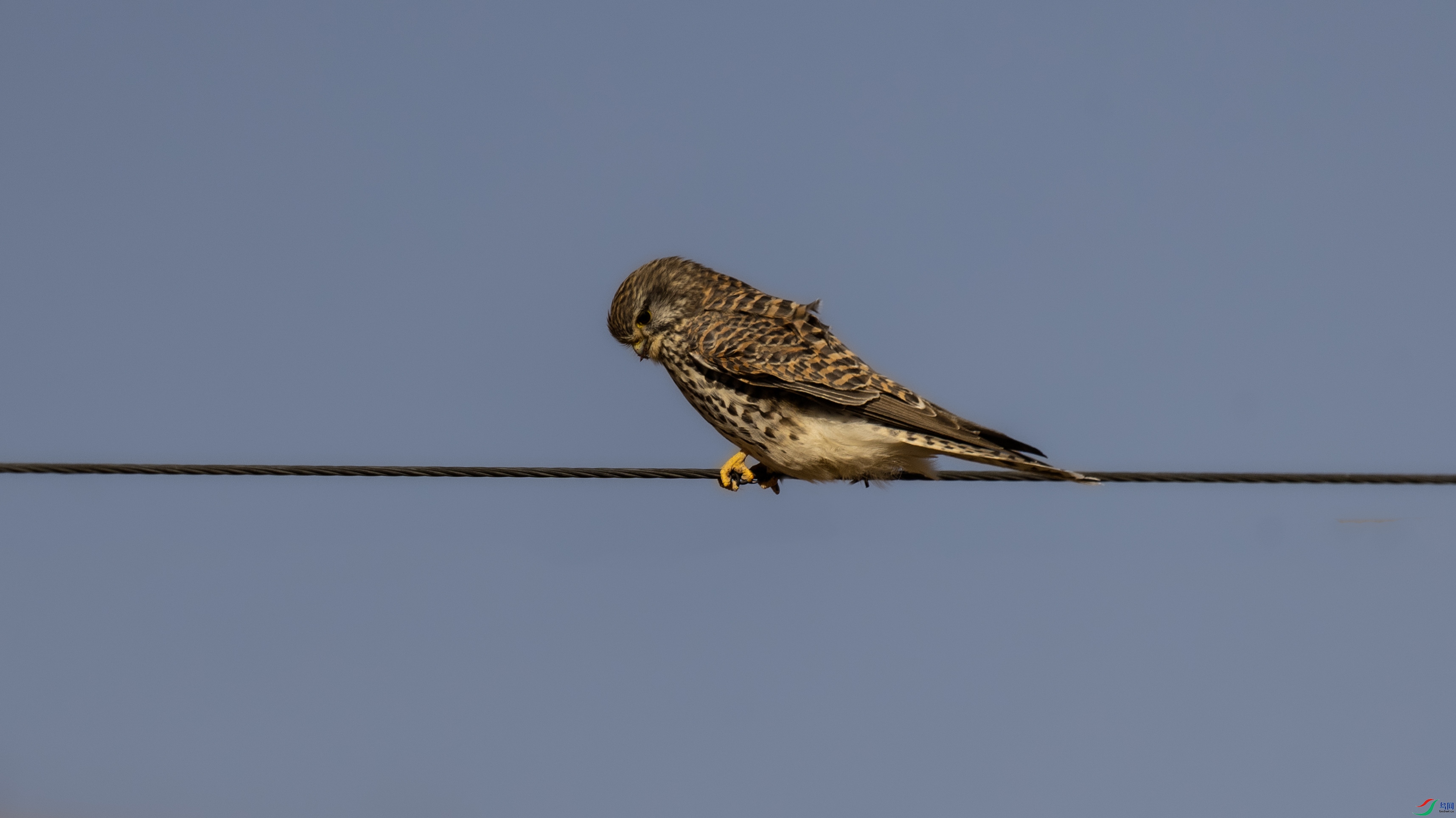 7X5A8516 ��44.jpg