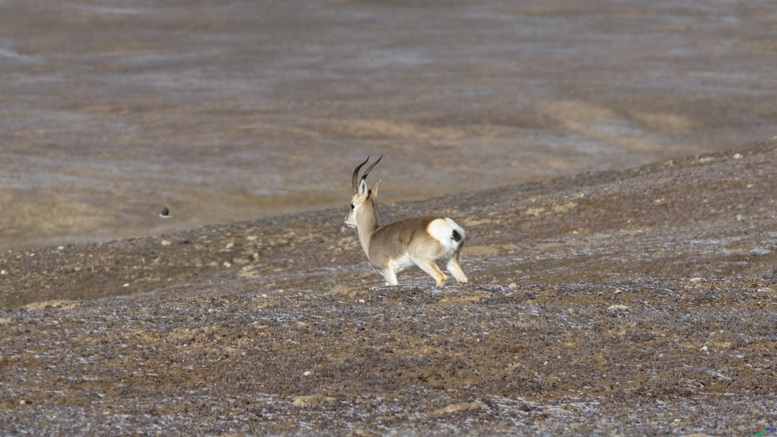 _X5A5201 ��444.jpg