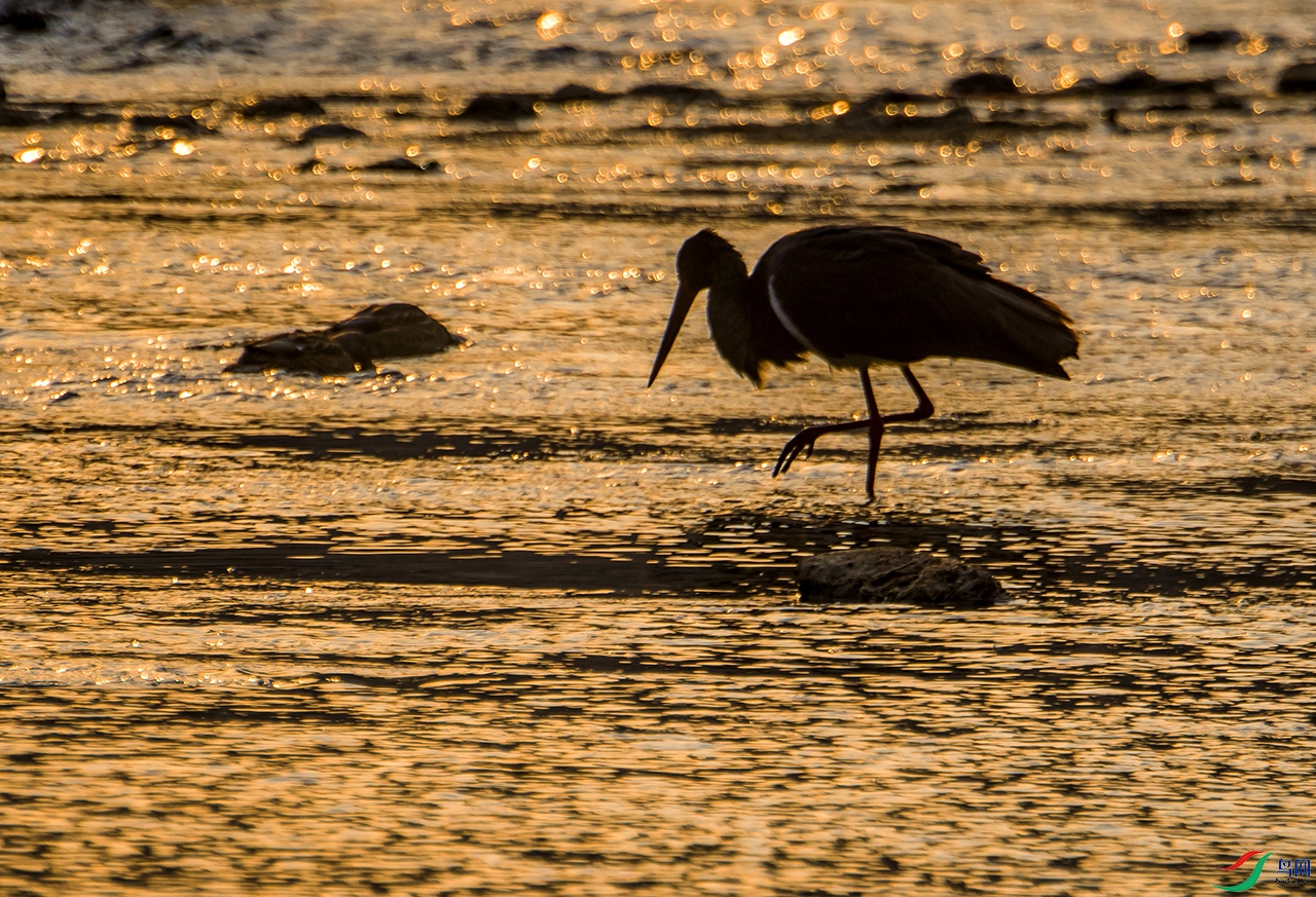 _DSC9051a.jpg