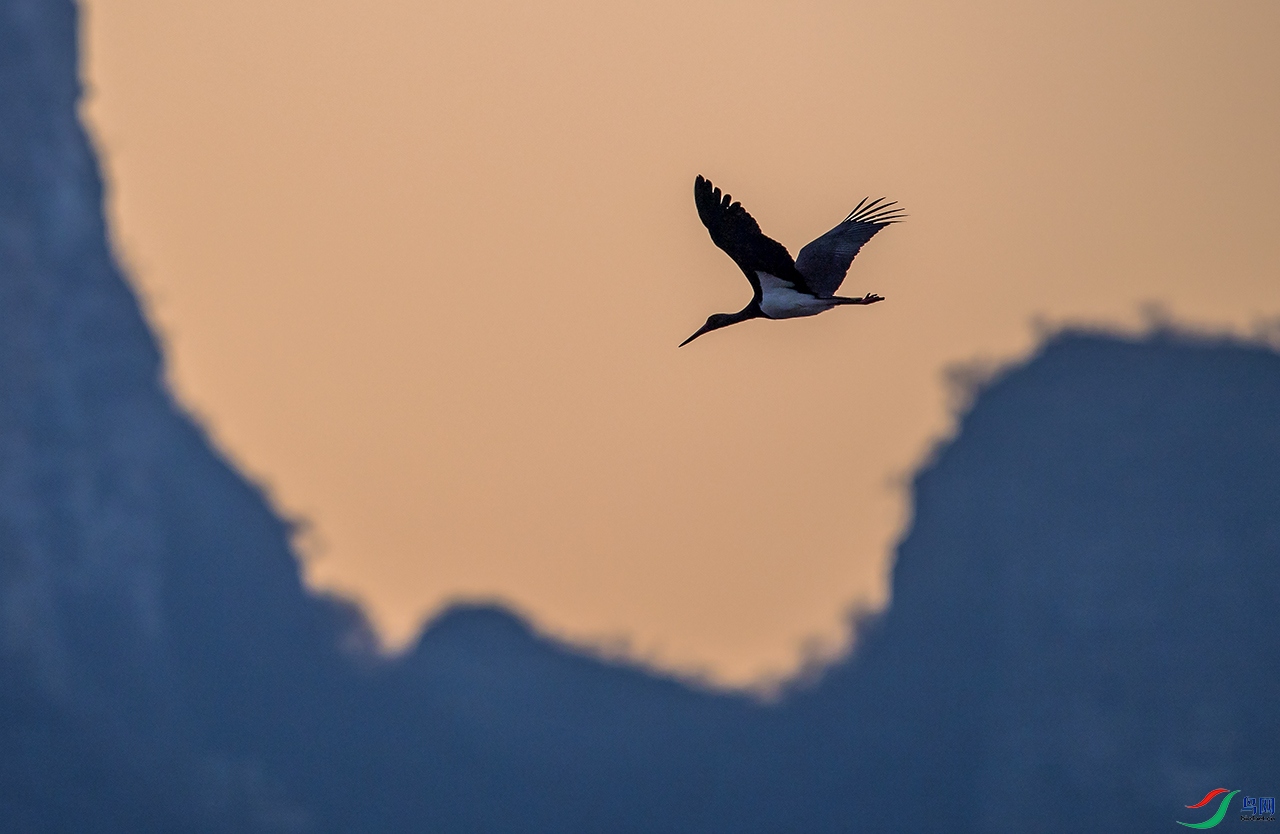 DSC_4663 - ����.jpg