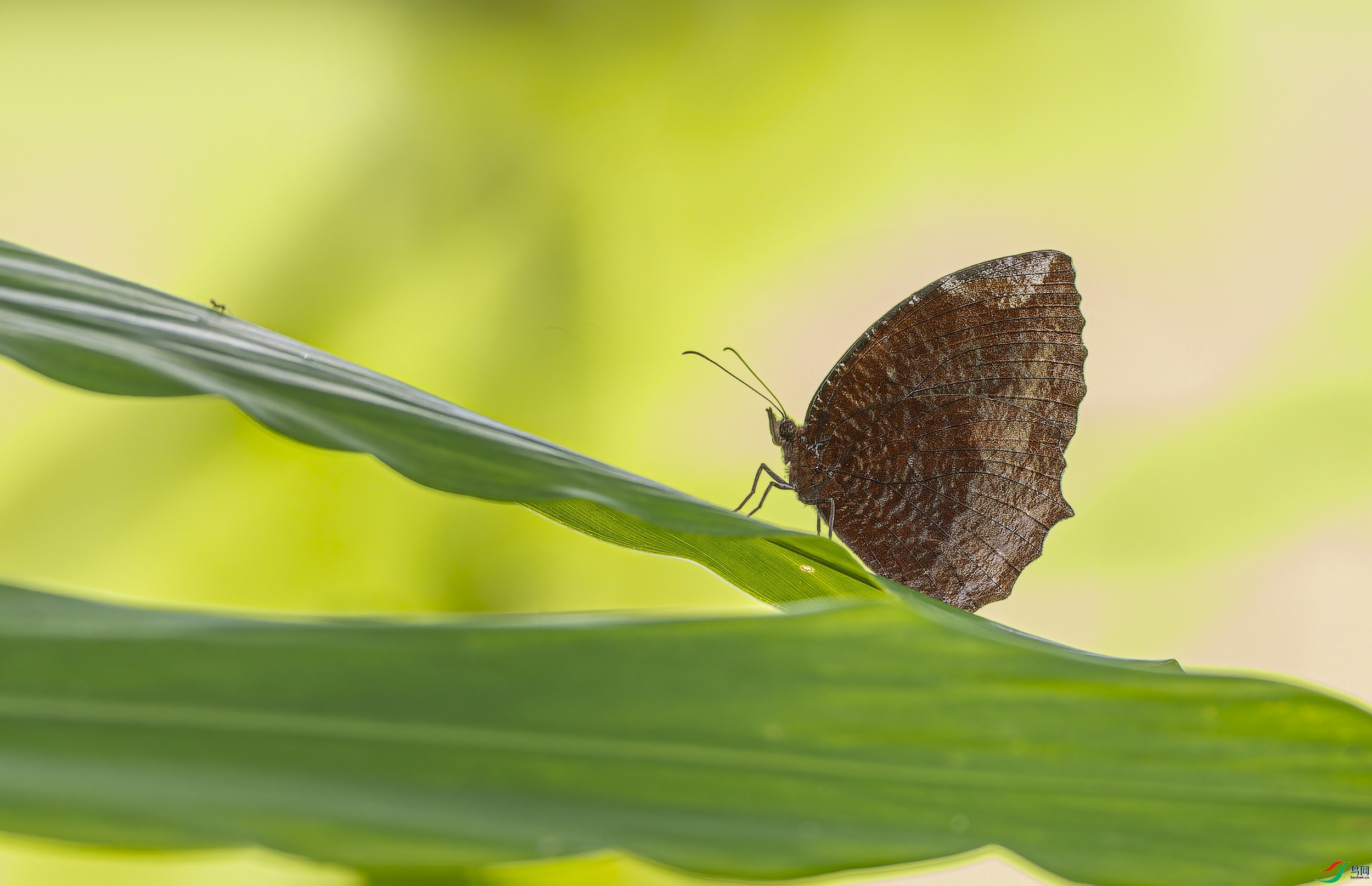 ������۵� (127)-01.jpg