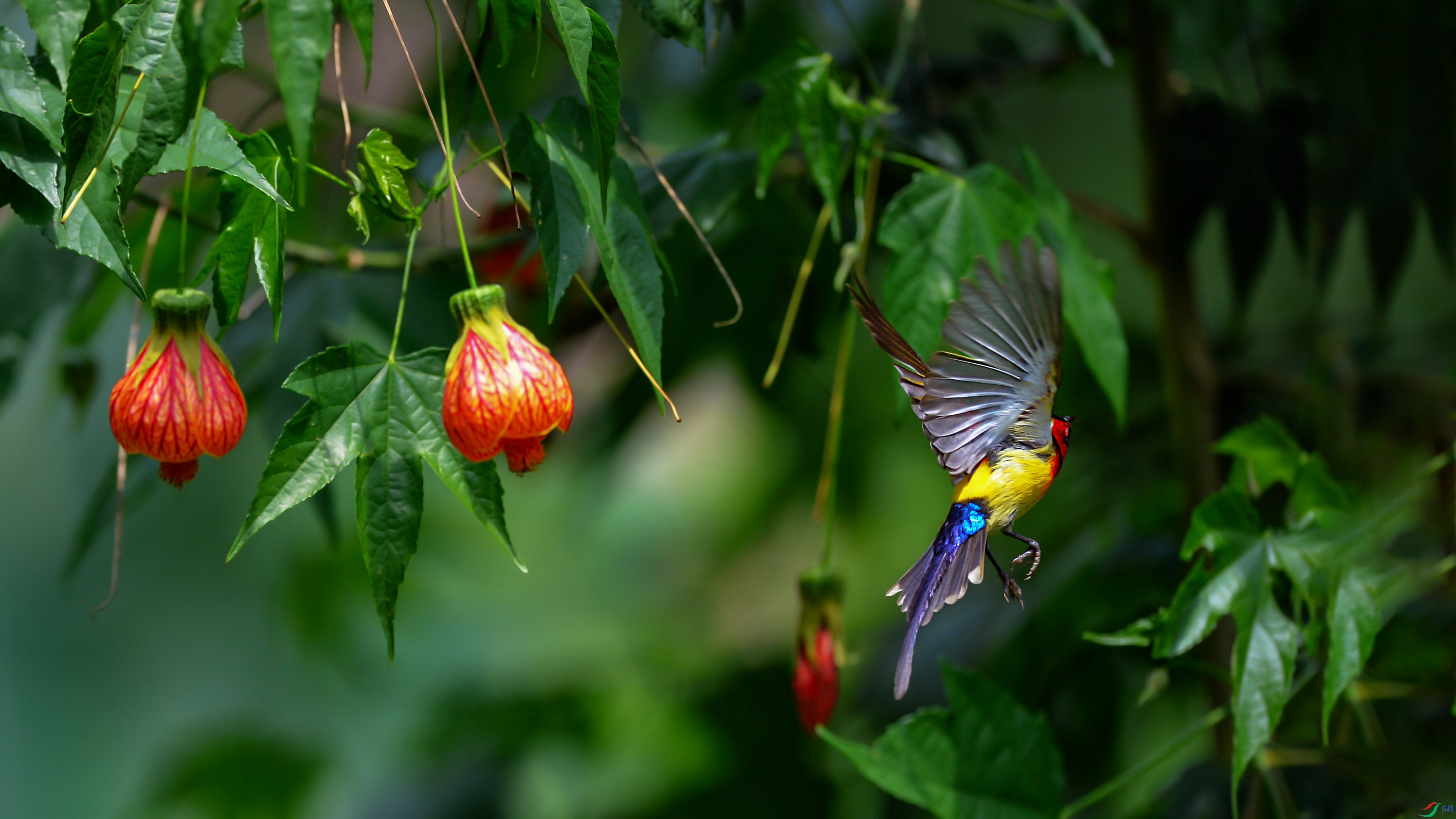 DSC_5489.jpg