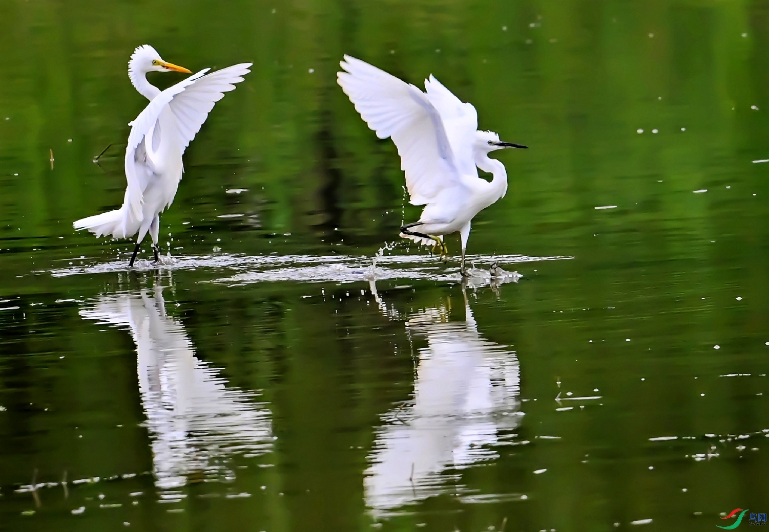 DSC_5220---_conew1.jpg