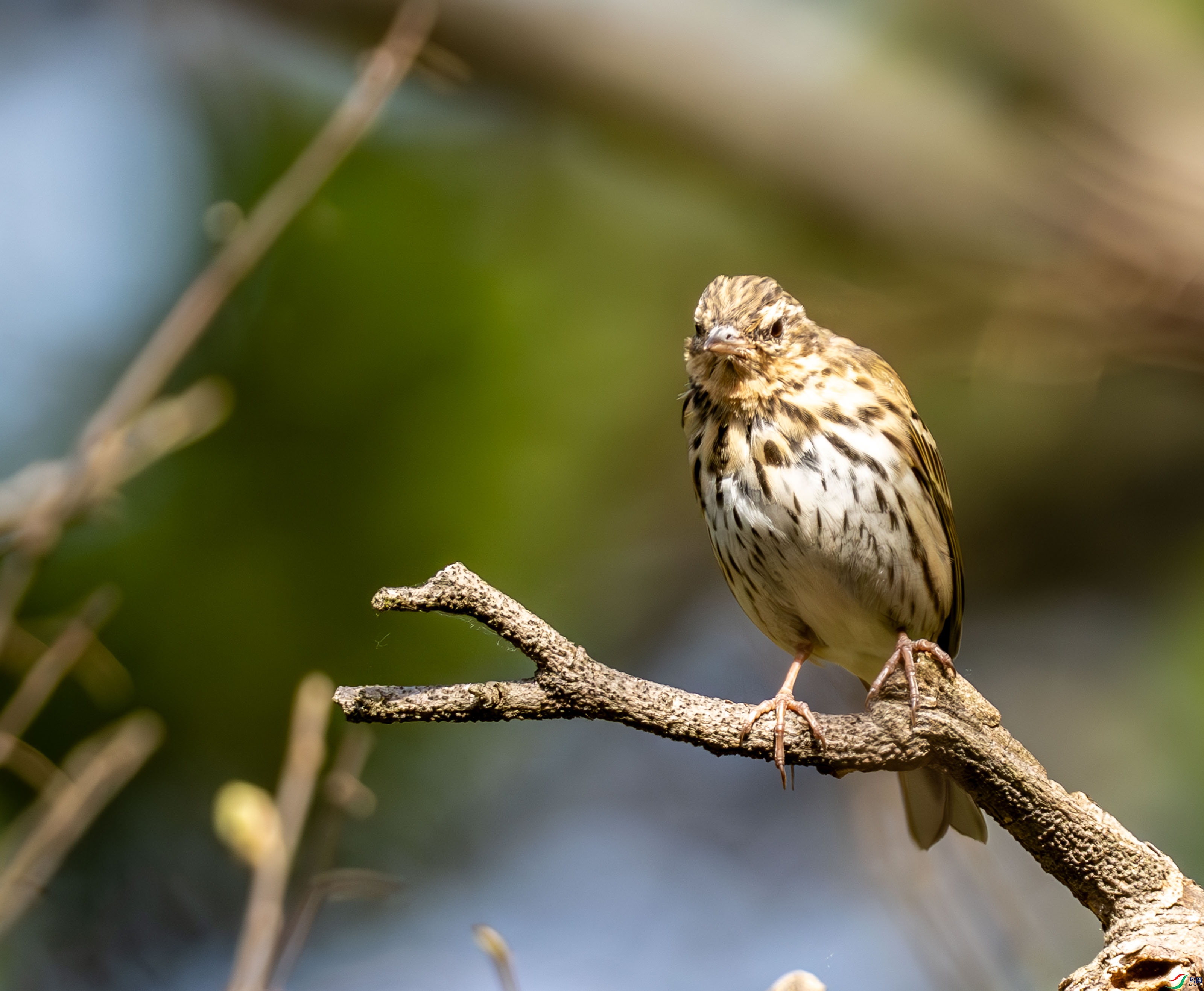 ���� (5 - 5).jpg