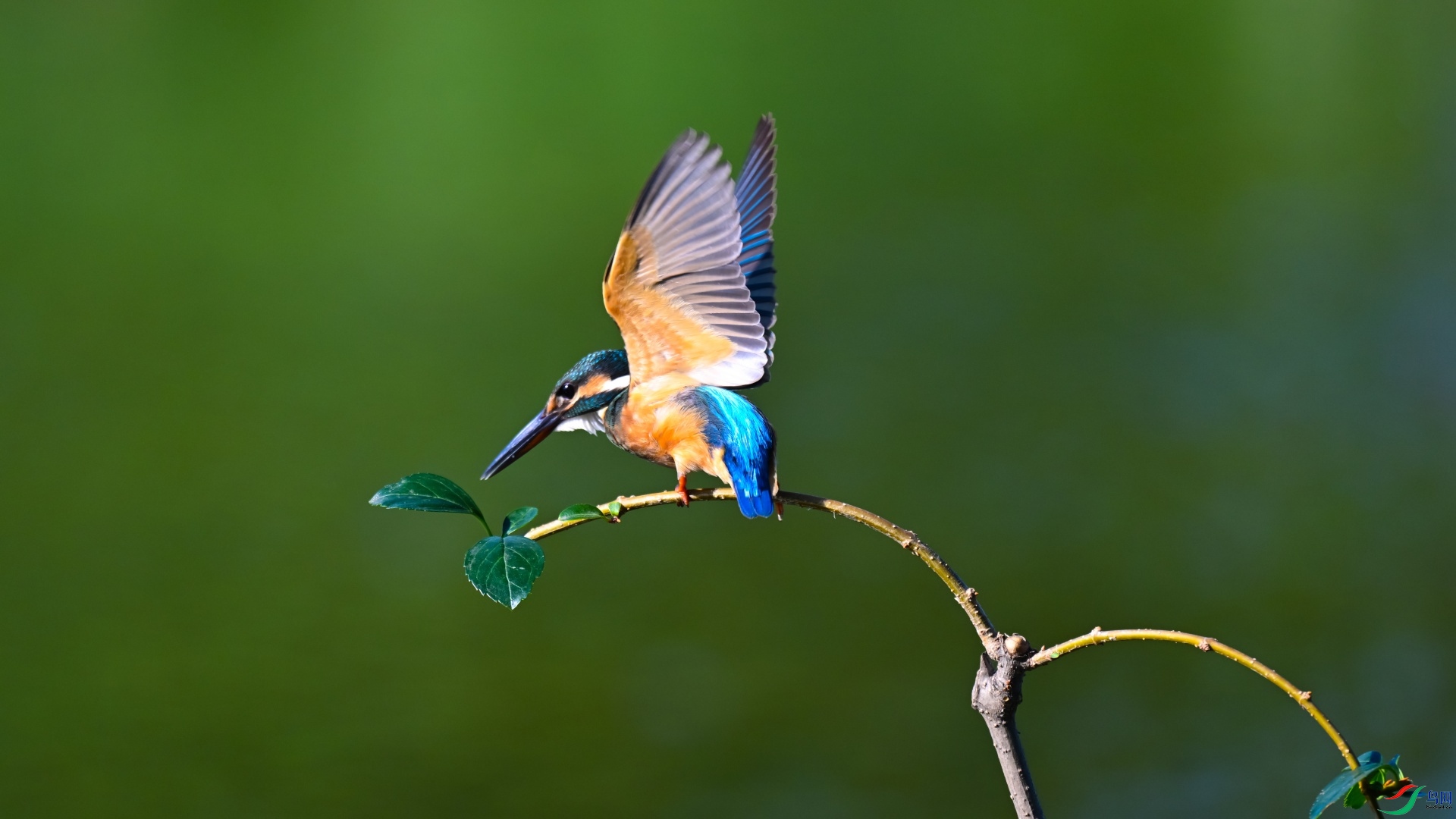 DSC_0227_��ͼ��.jpg