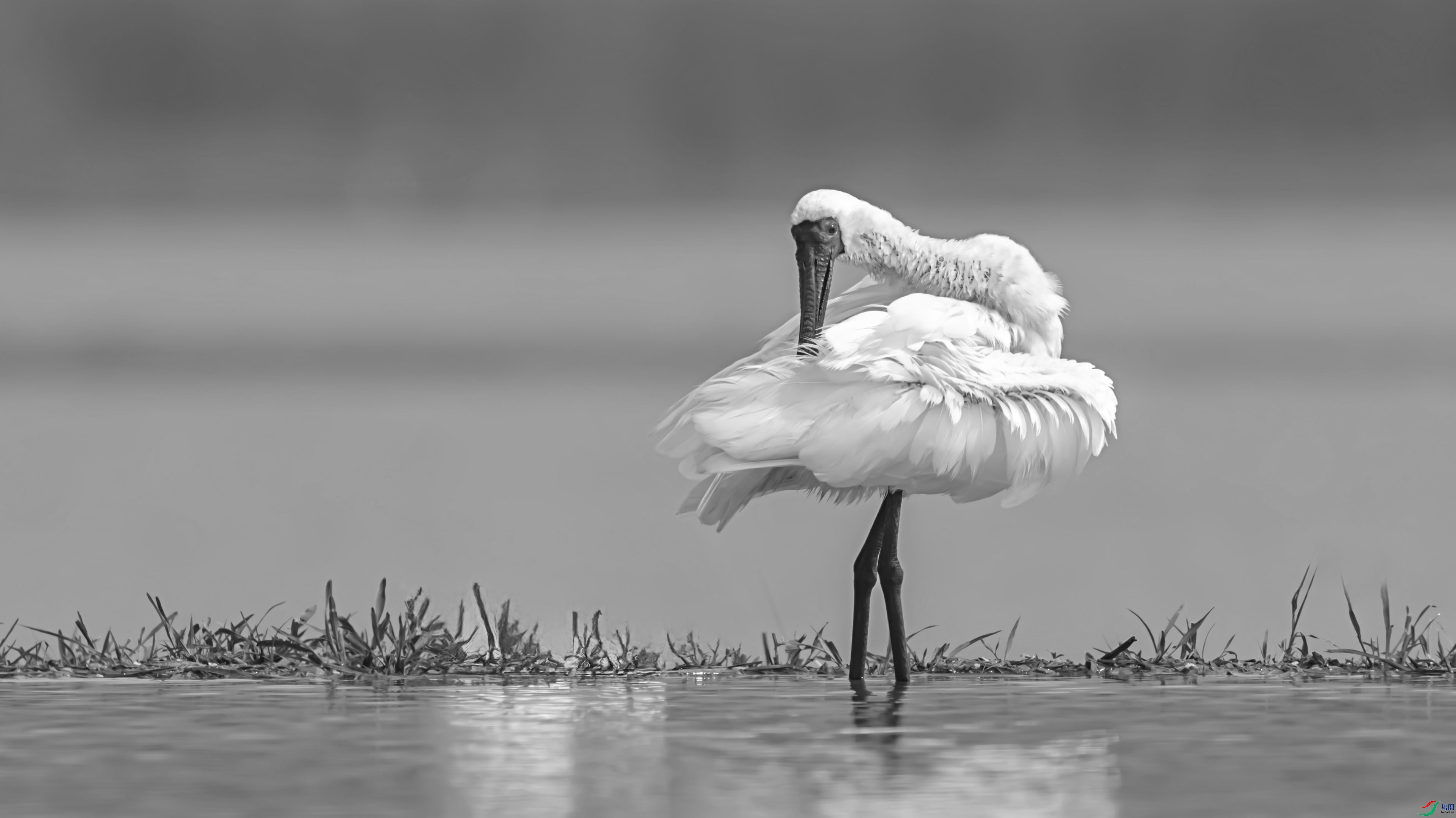 1286-17 ����.jpg