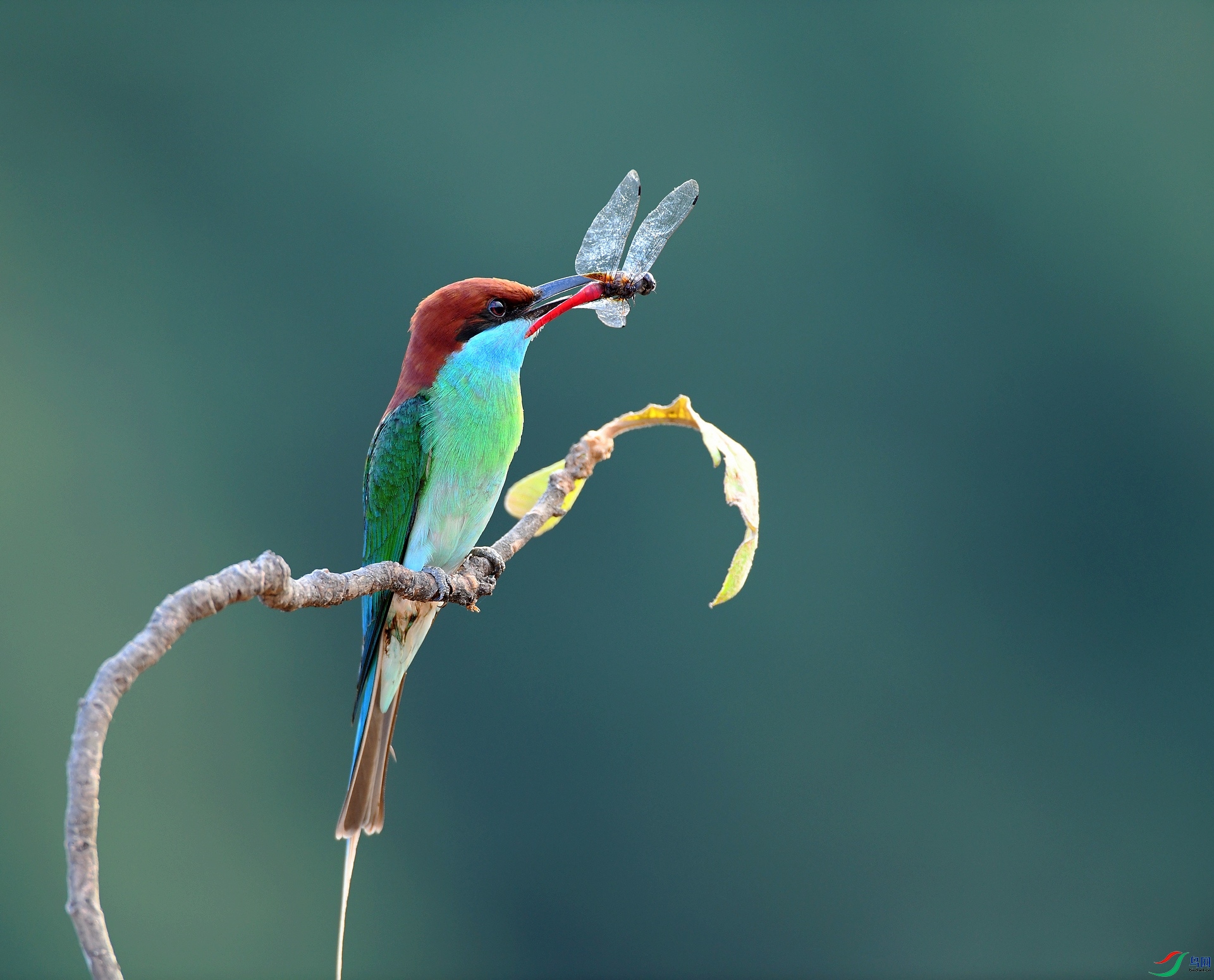 DSC_5108.jpg