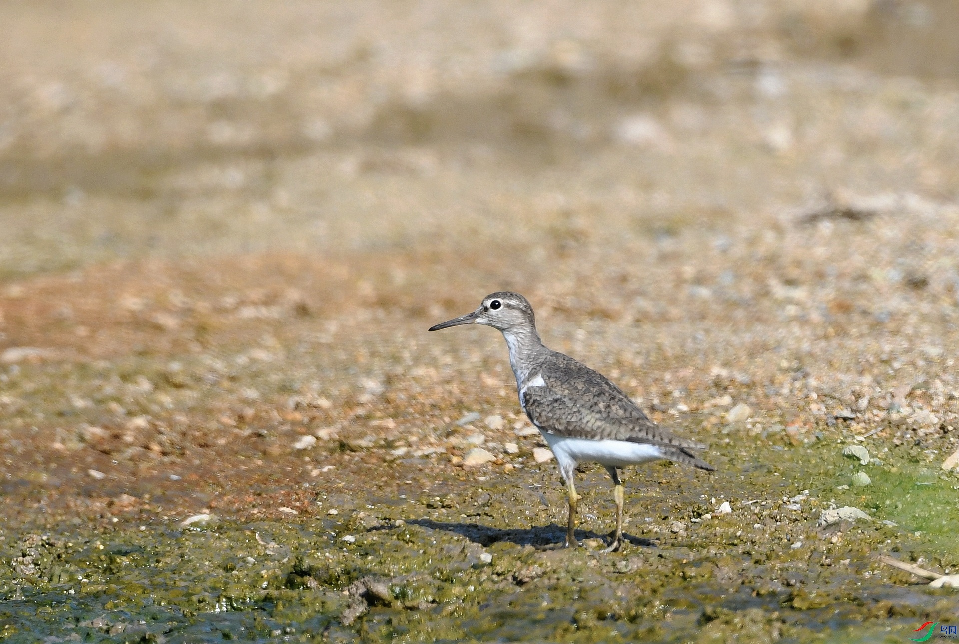 DSC_5105.jpg