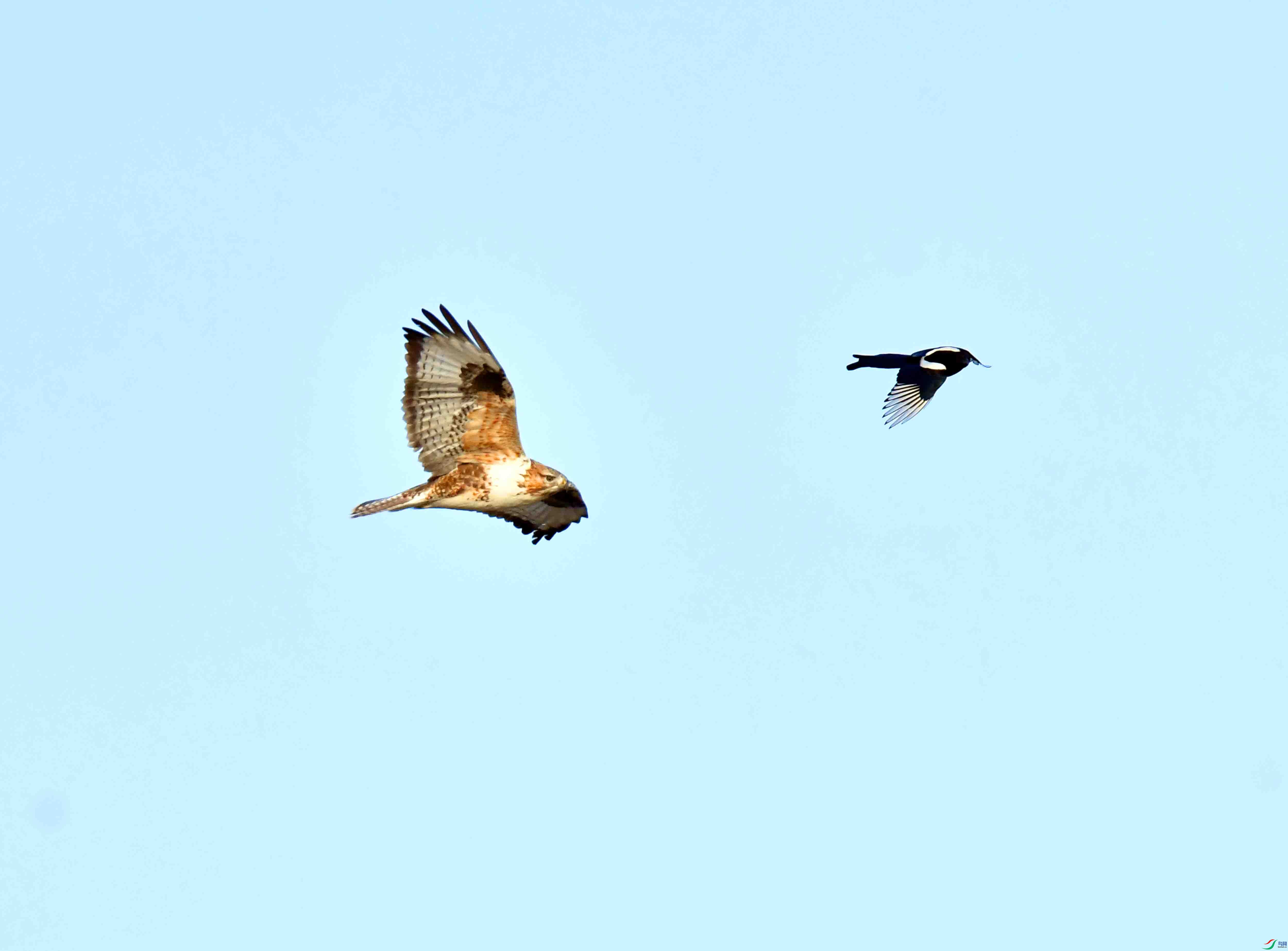 DSC_2131.JPG