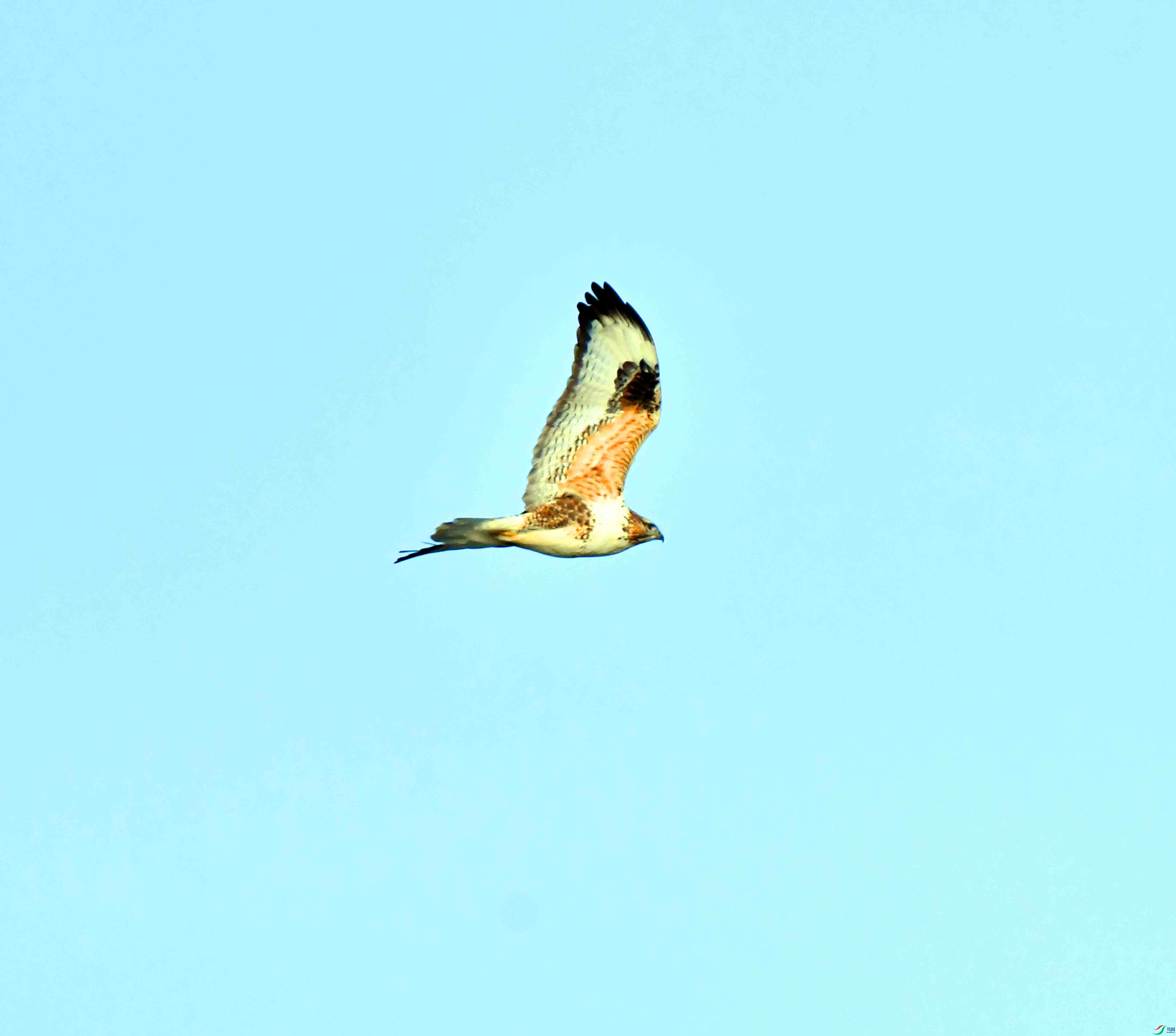 DSC_2133.JPG