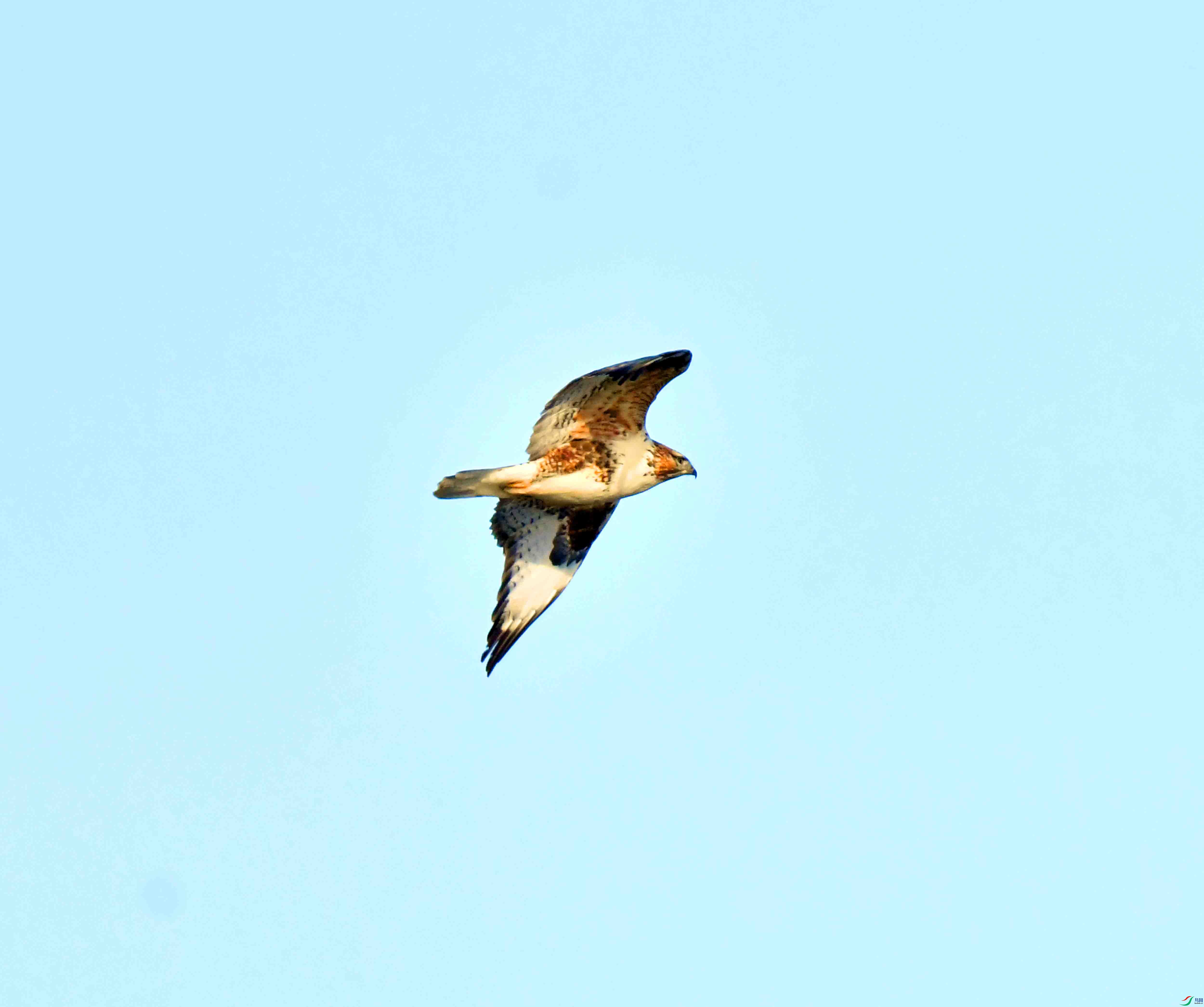 DSC_2132.JPG
