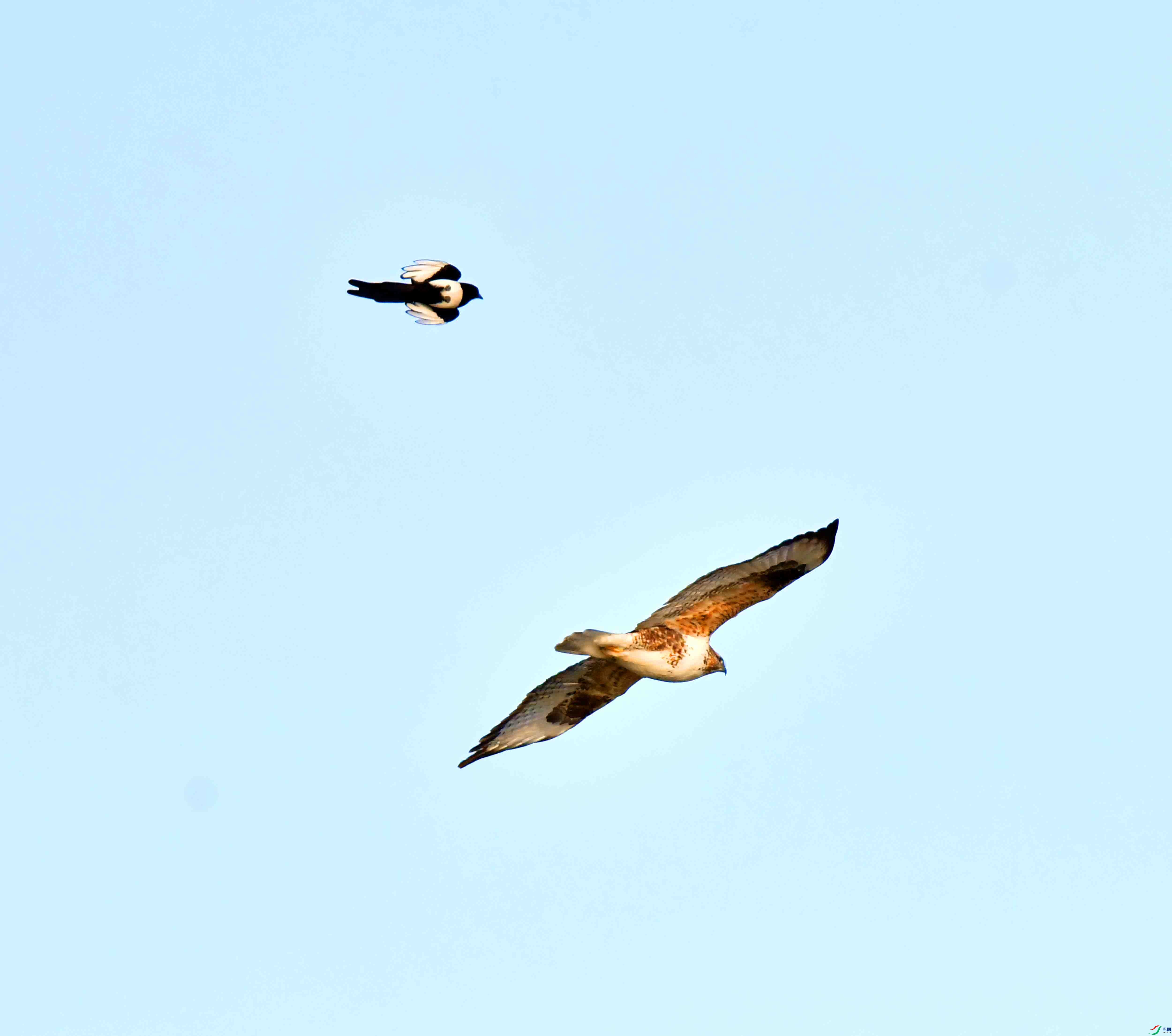 DSC_2136.JPG