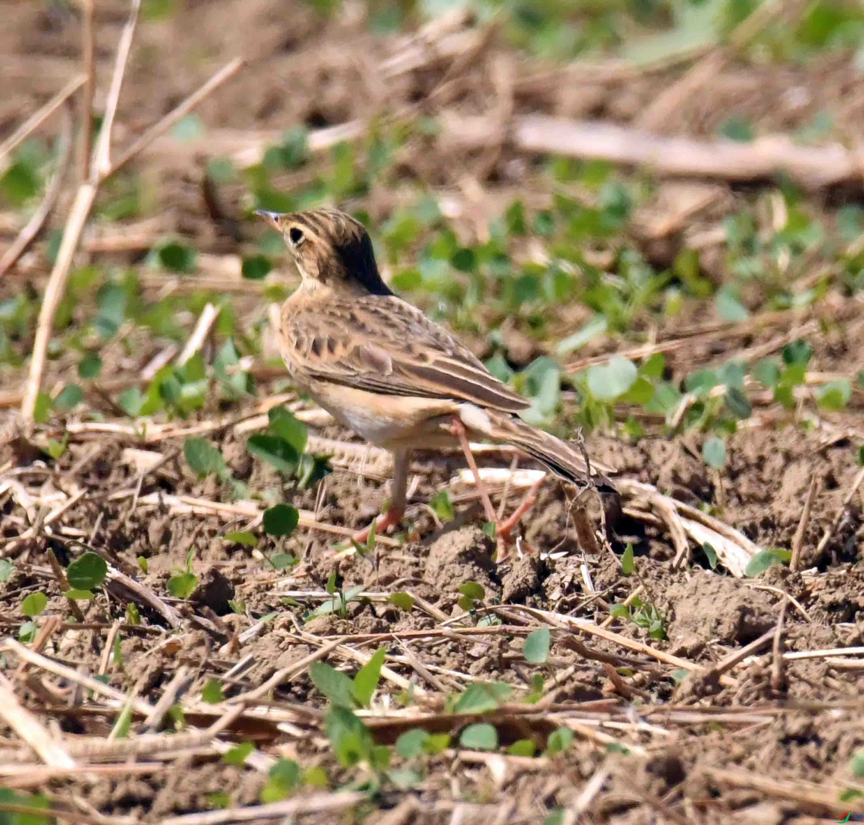 DSC_8972.JPG