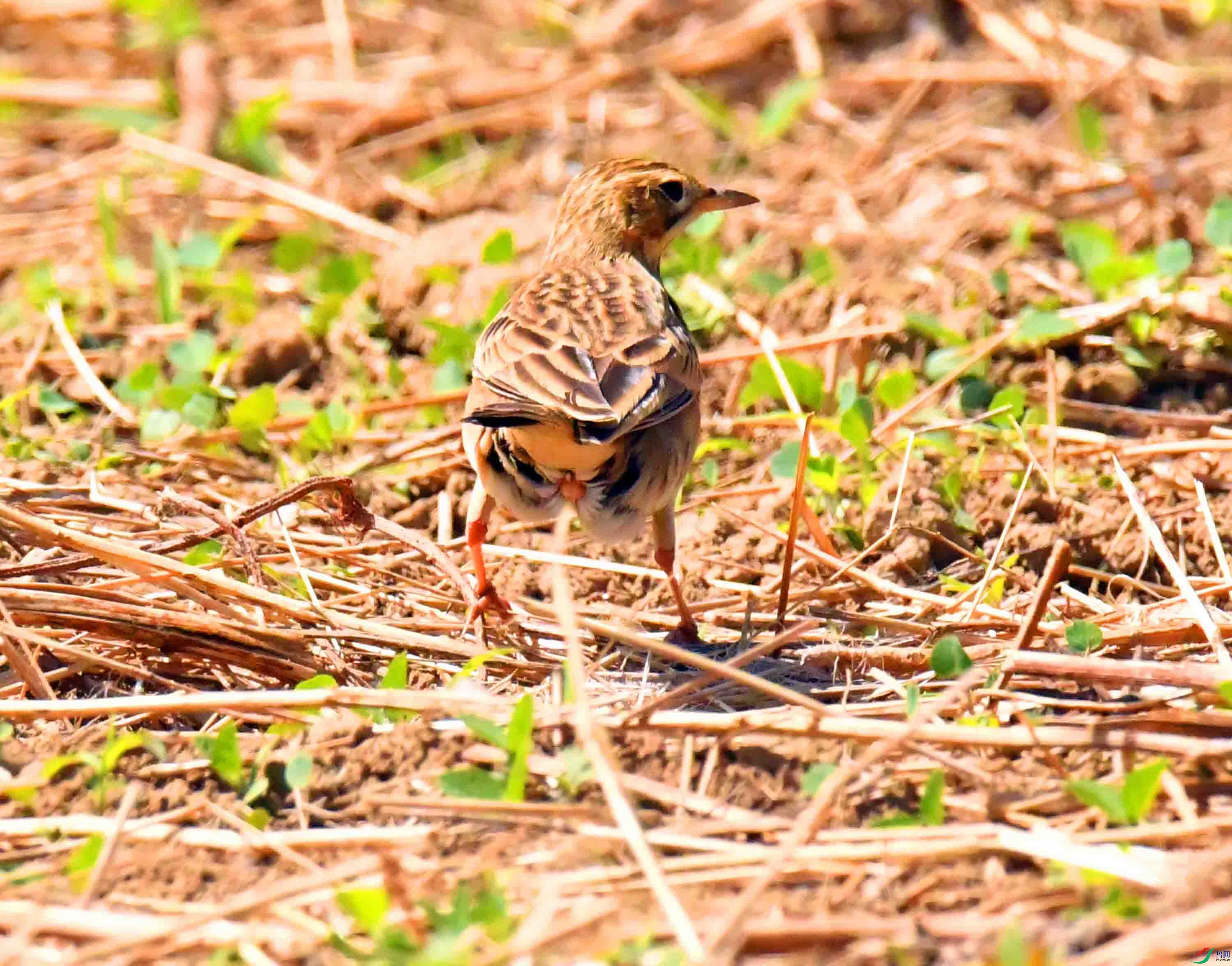 DSC_8989.JPG