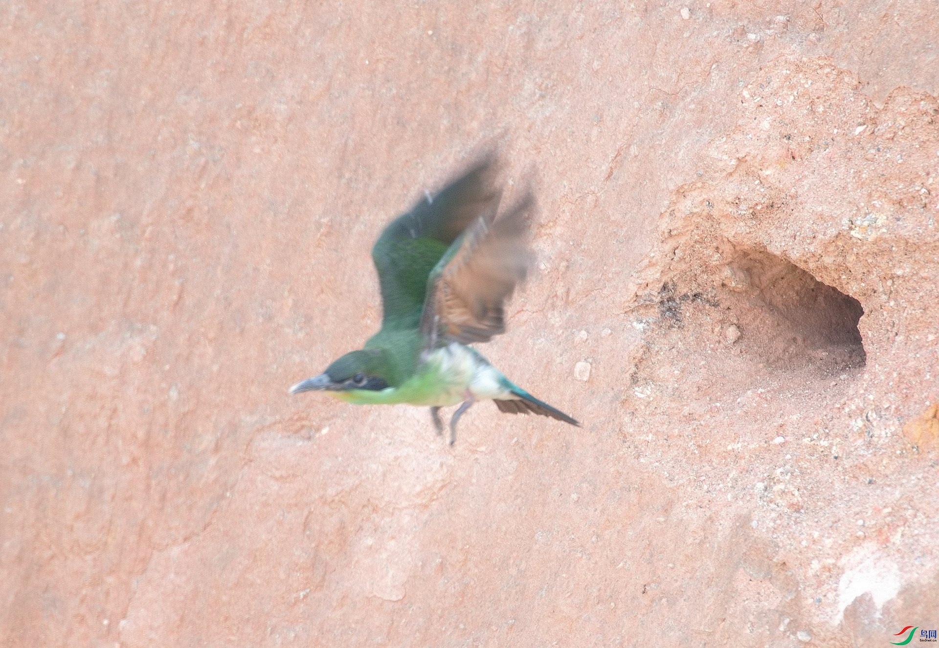 DSC_8653.jpg