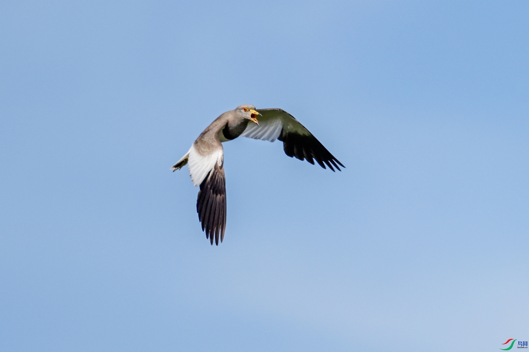 DSC_5193.JPG