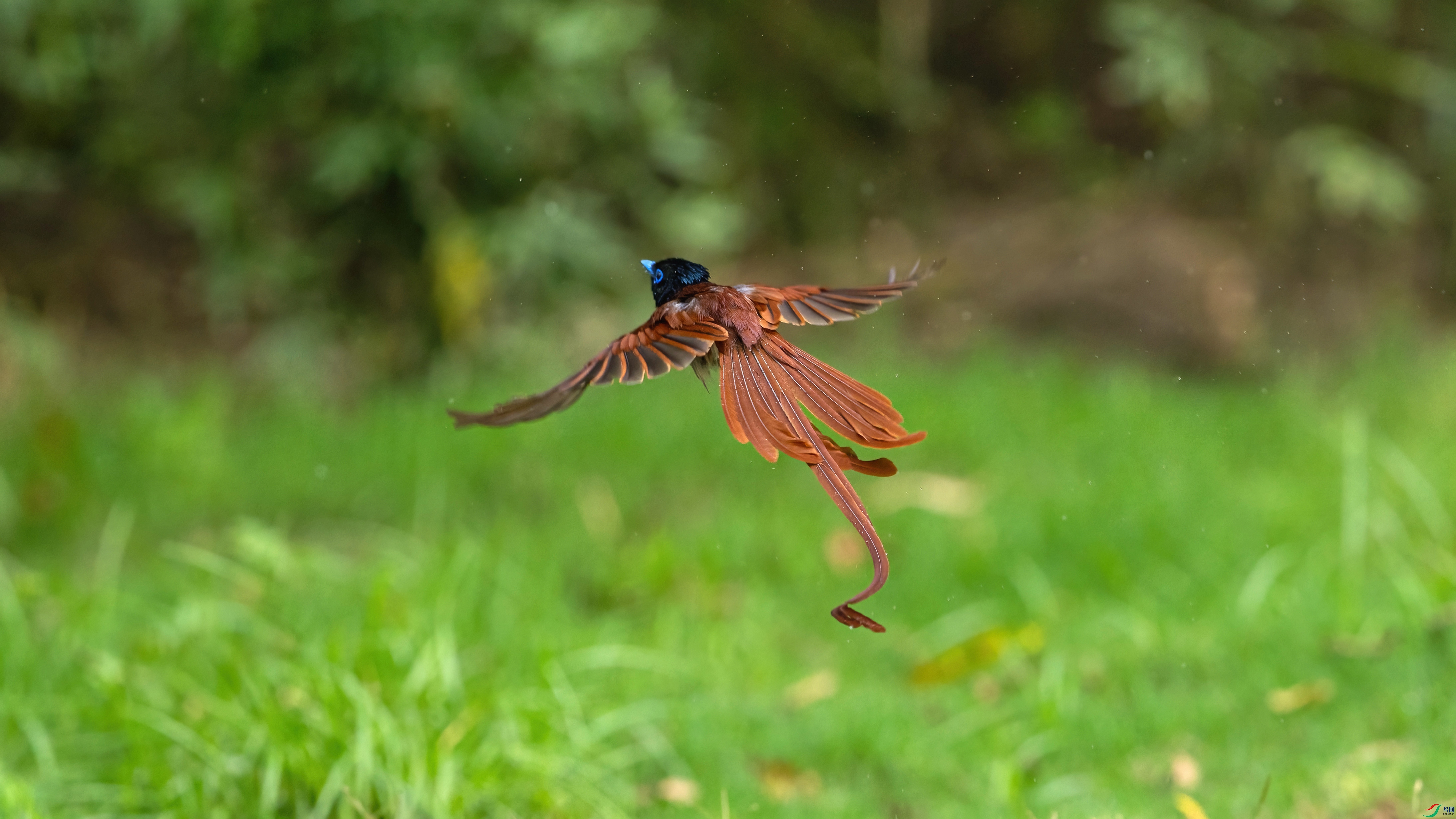 _DSC0013.jpg