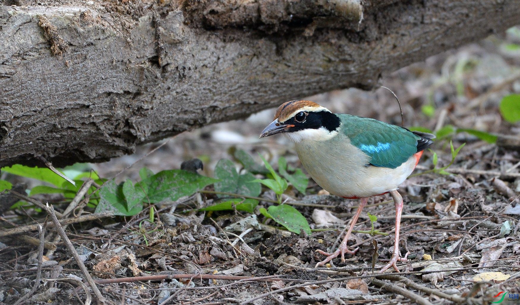 DSC_3200_����.jpg