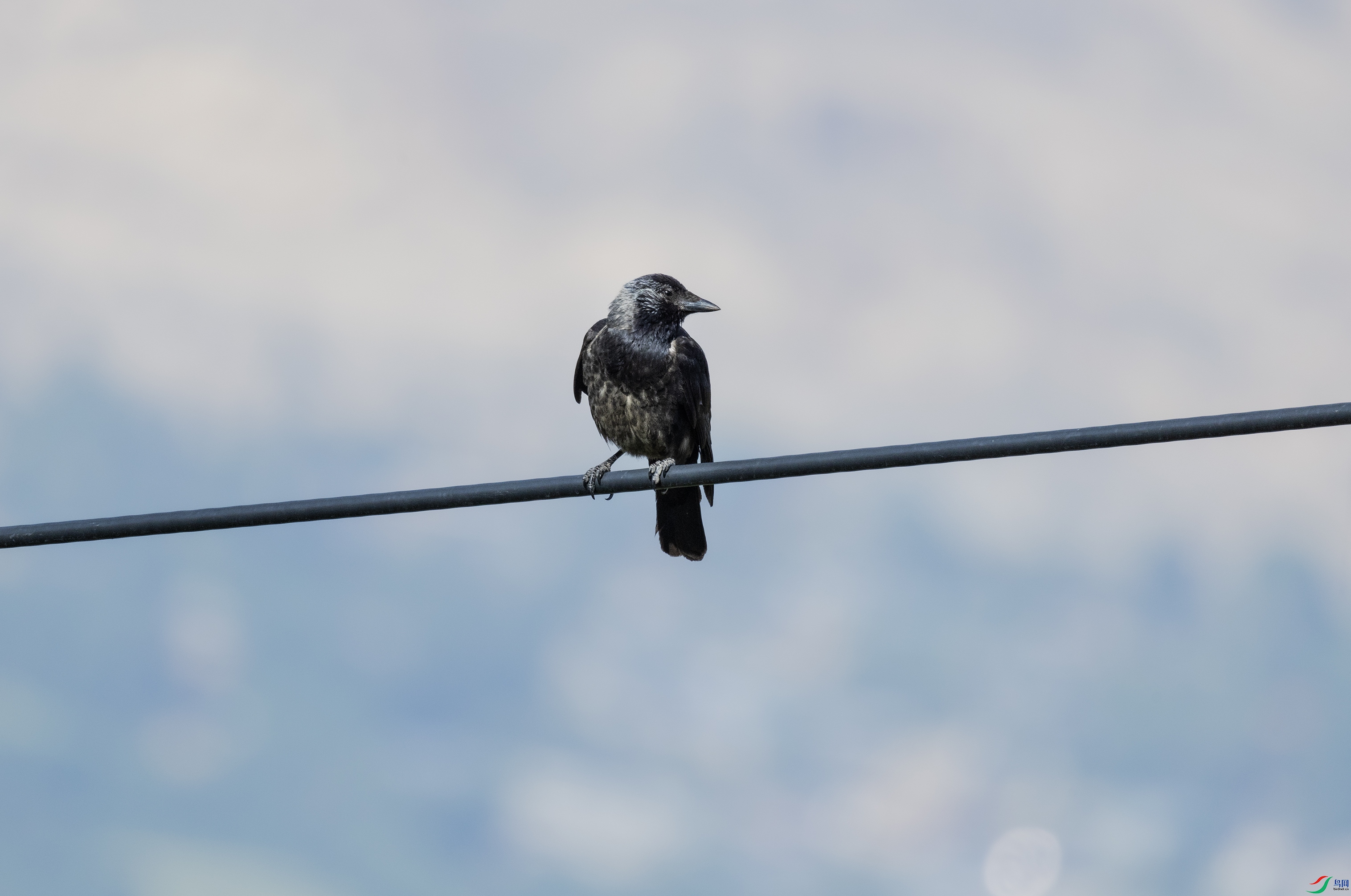 7X5A1014 ����4444.jpg