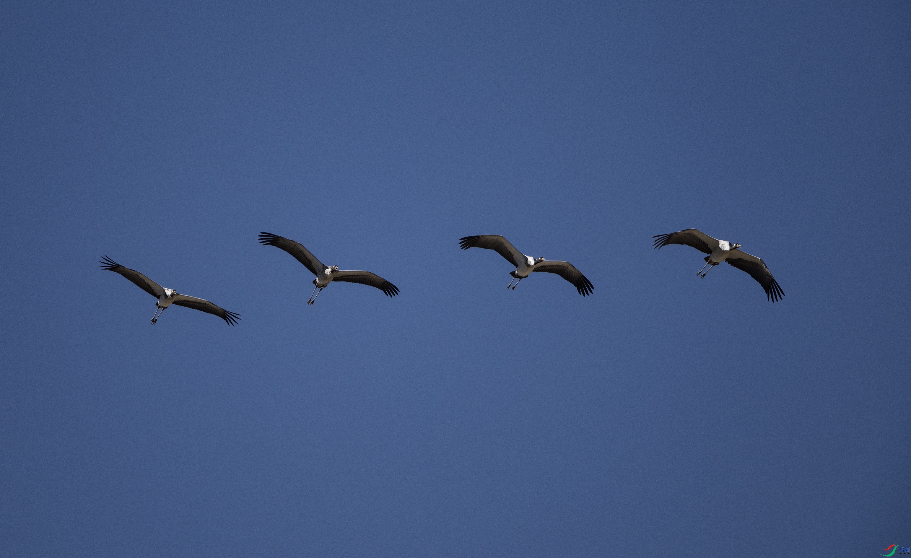 _O7A5249 ����333.jpg