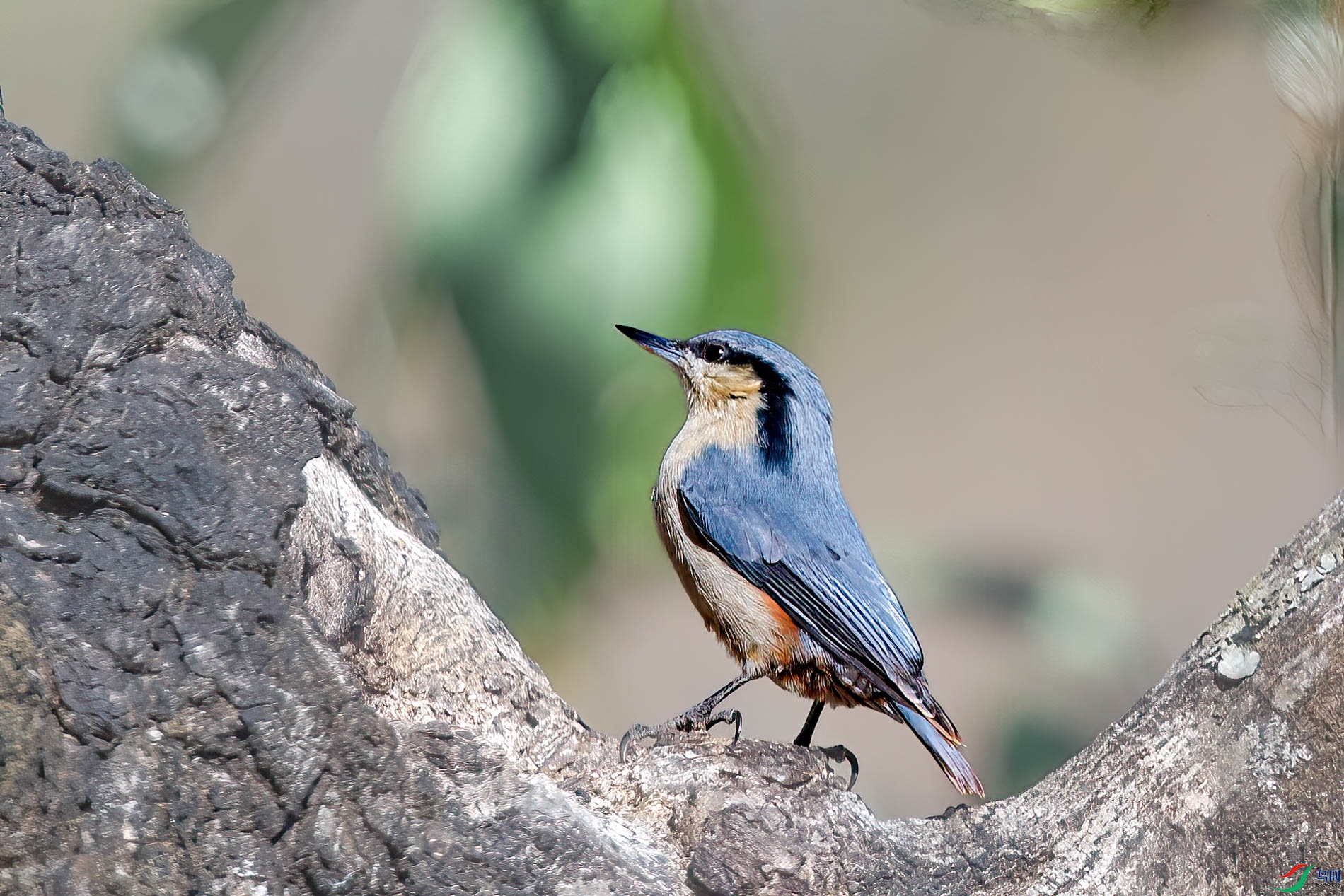 AQ4P1558-1.jpg