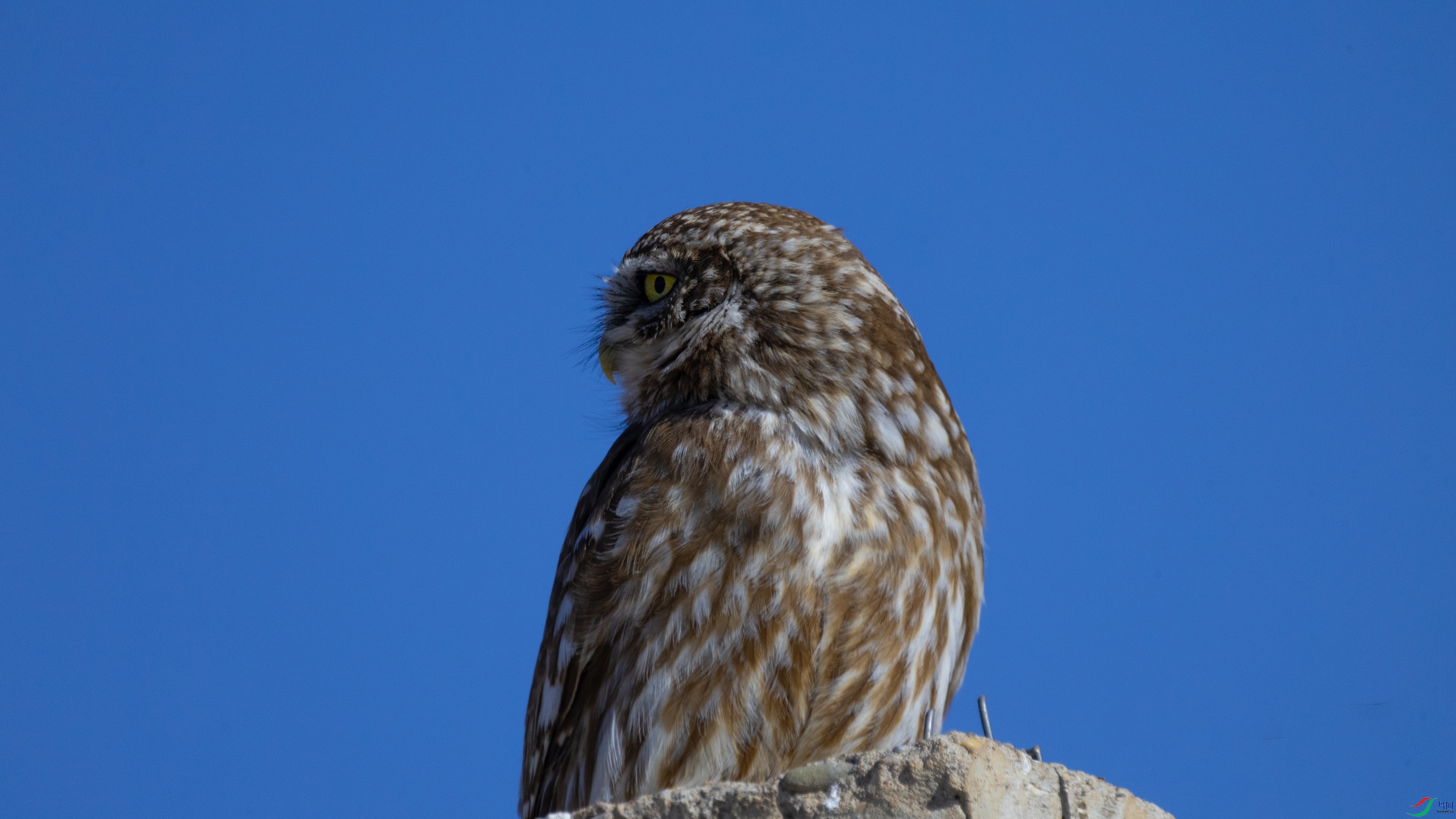 7X5A5593 ����.jpg