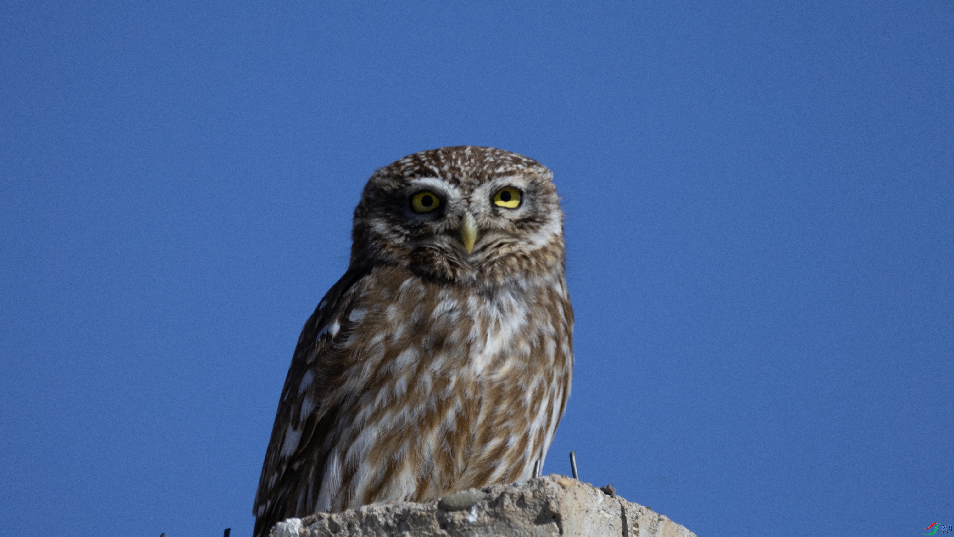 7X5A5597 ����3444.jpg