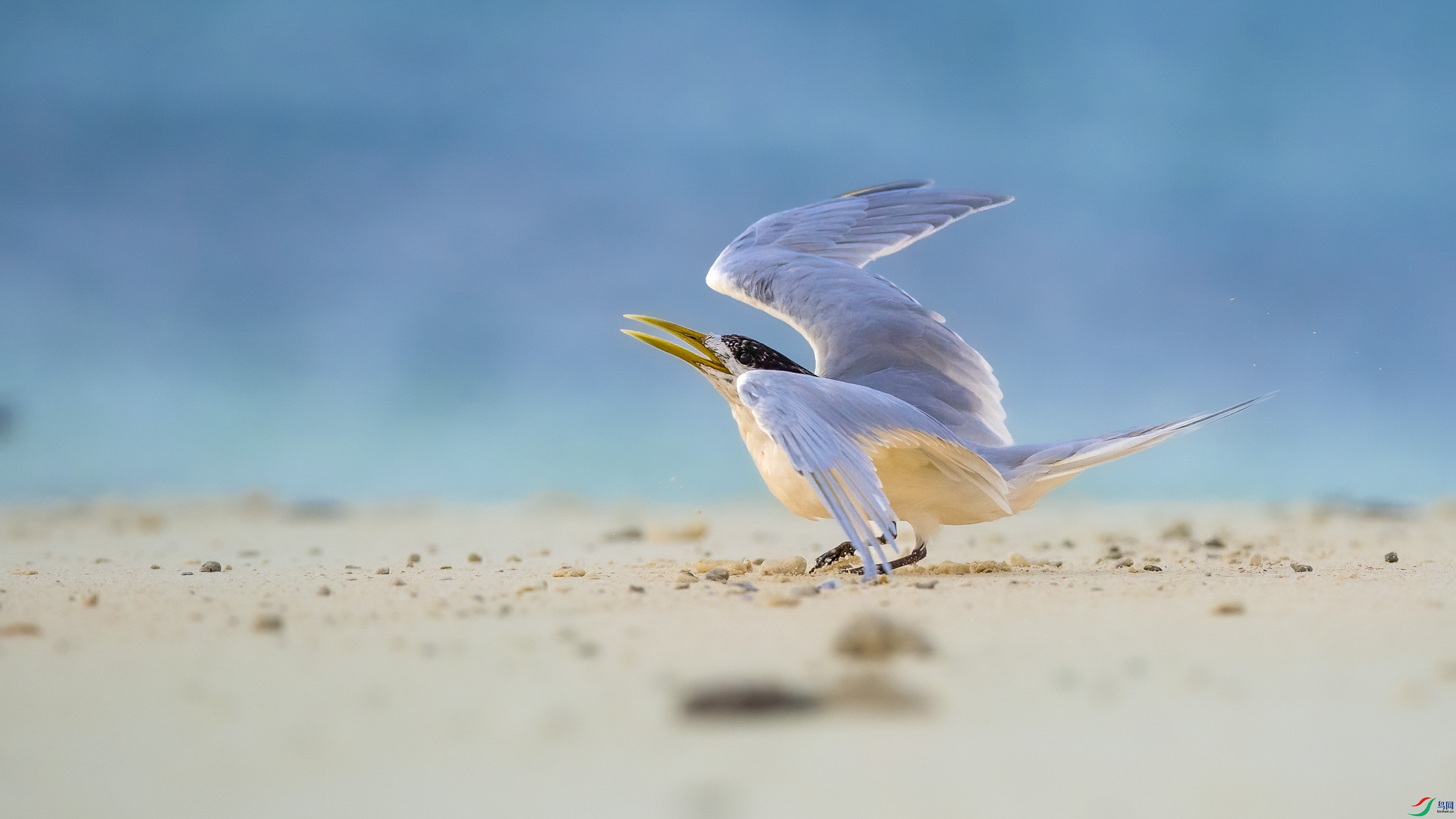 CG7I1360 ����_1_1.JPG