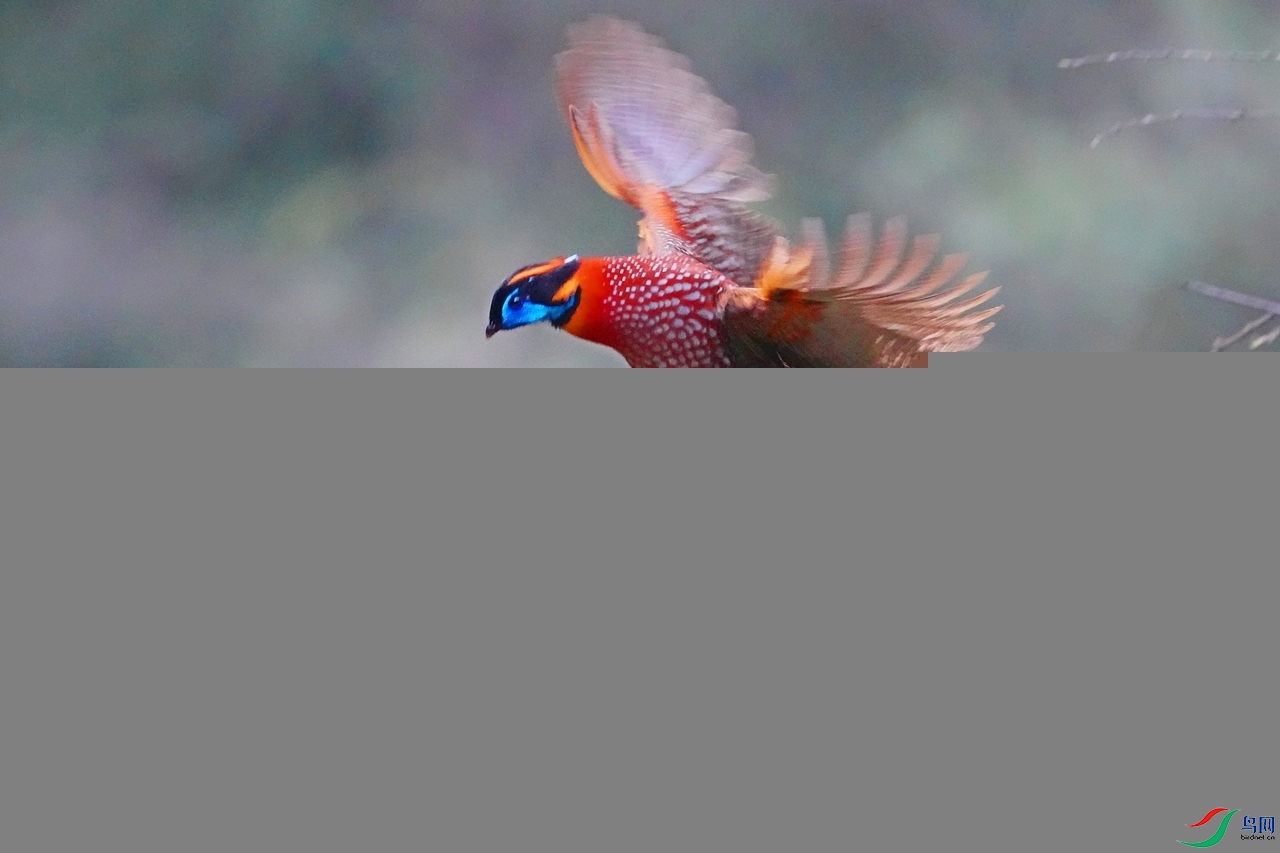 DSC08863.JPG